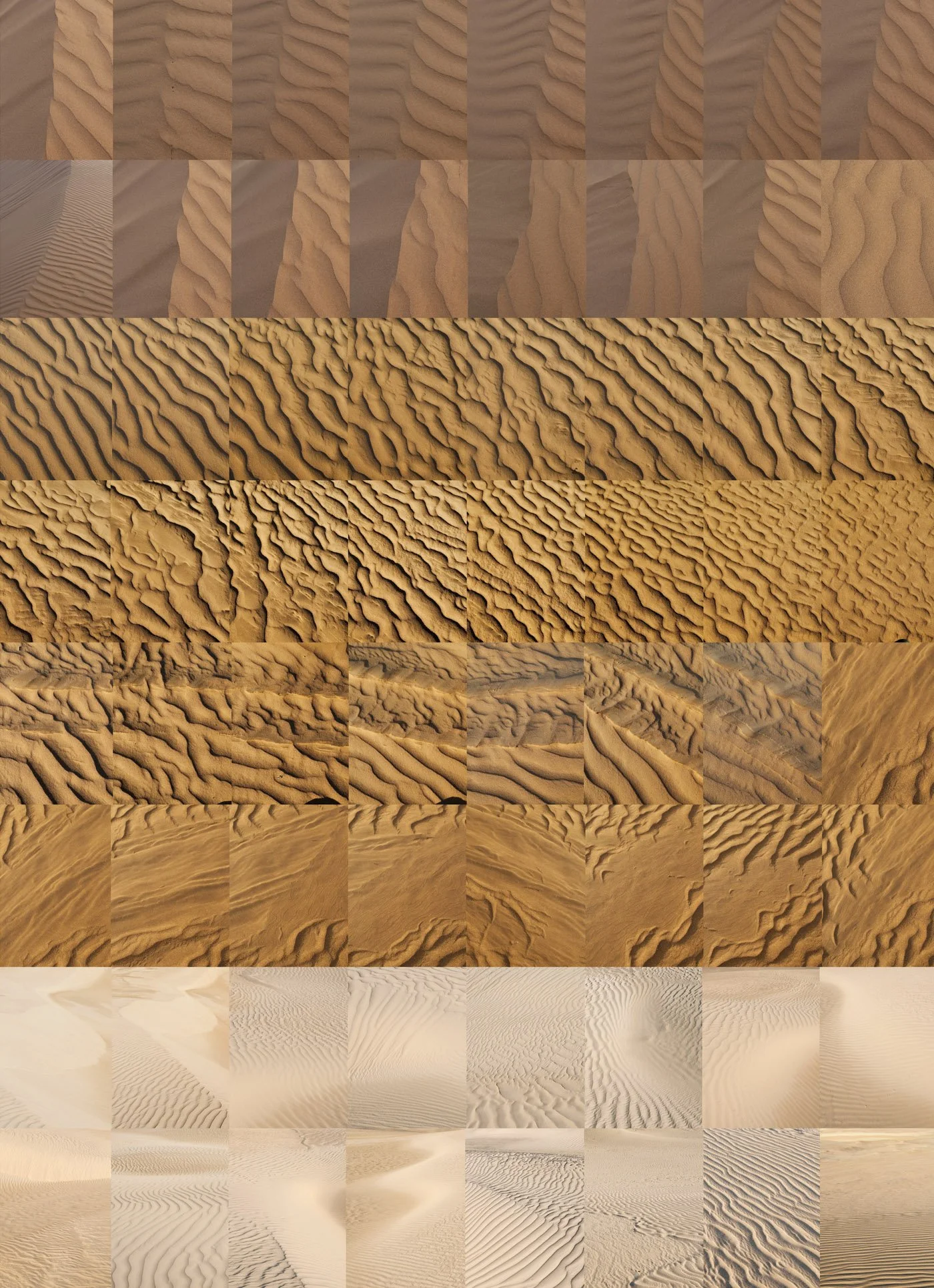 The wind has been.jpg