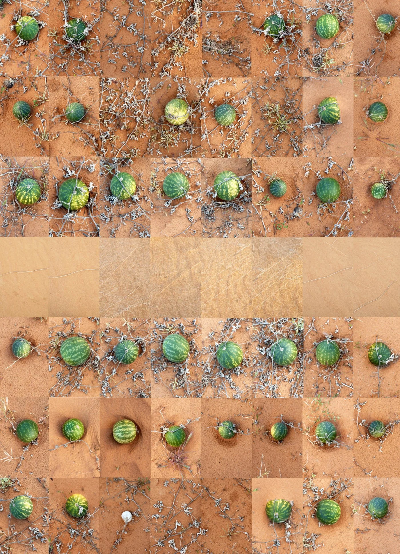 We're all red in the middle x A1.jpg