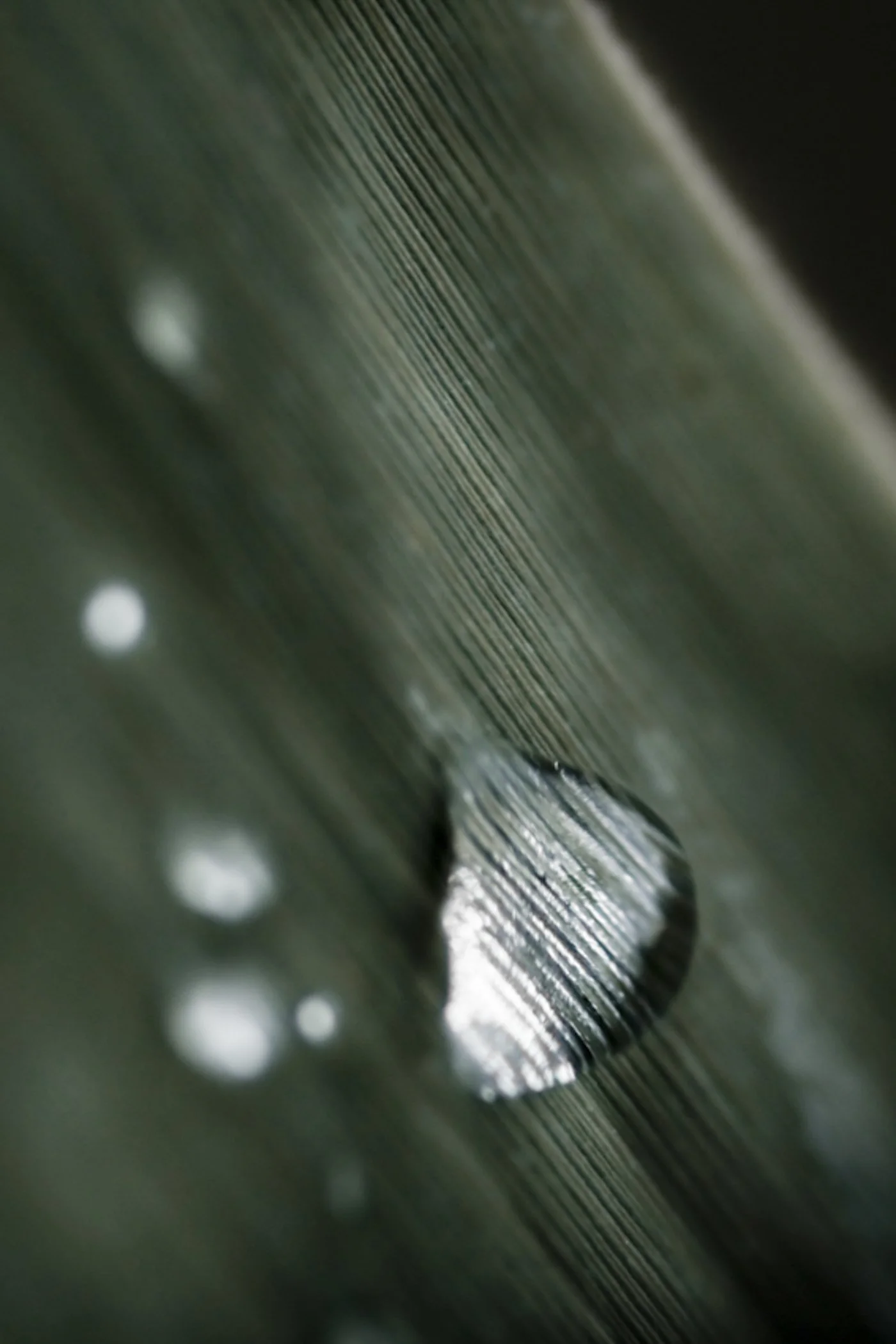 Close-up of a metallic surface with parallel grooves and small round white lights, viewed at an angle.