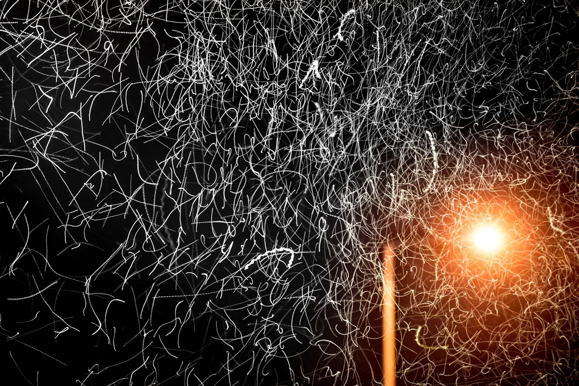 Bugs attracted to a light at night long exposure photograph by Christian Pearson