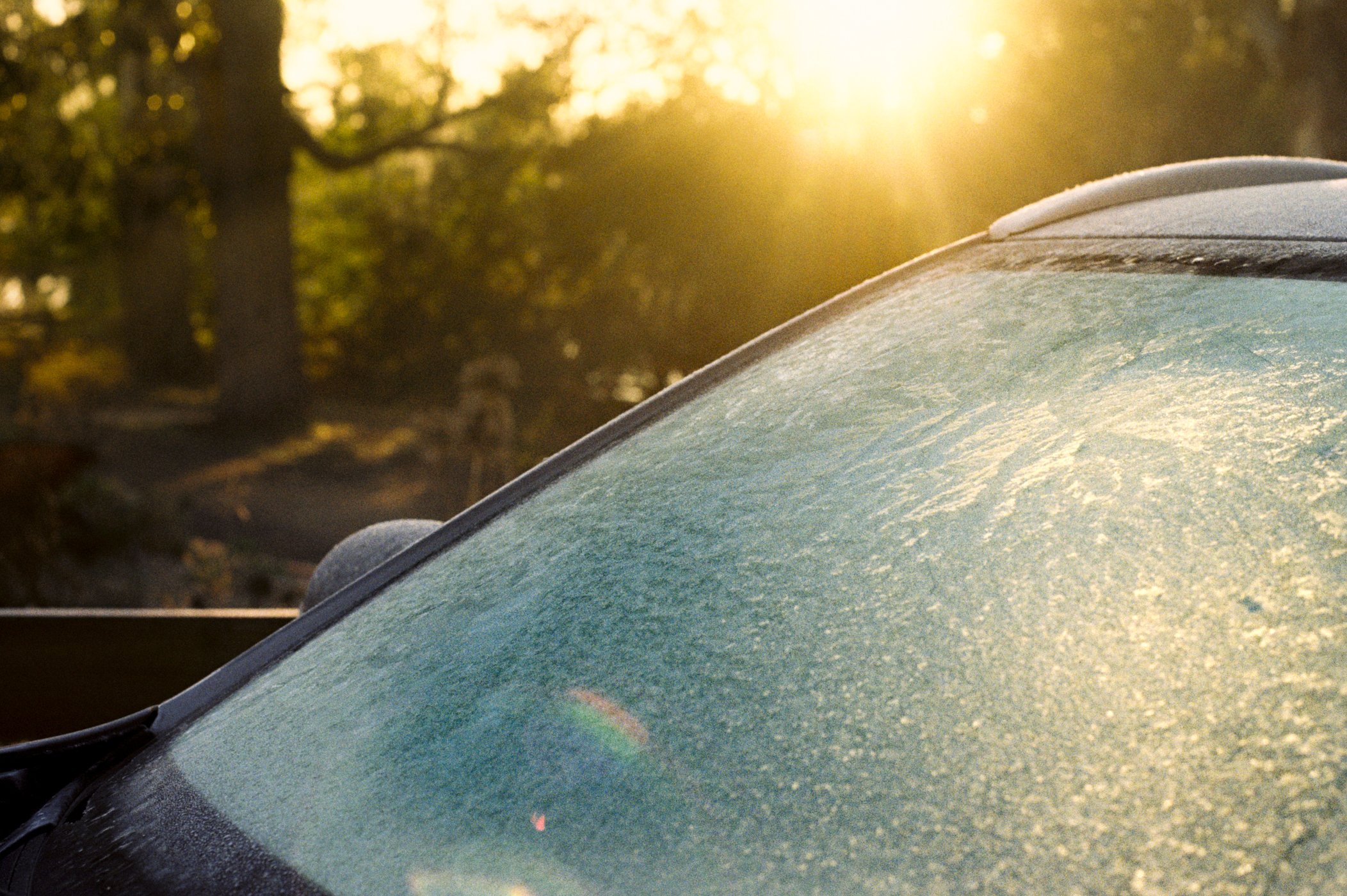 Frost