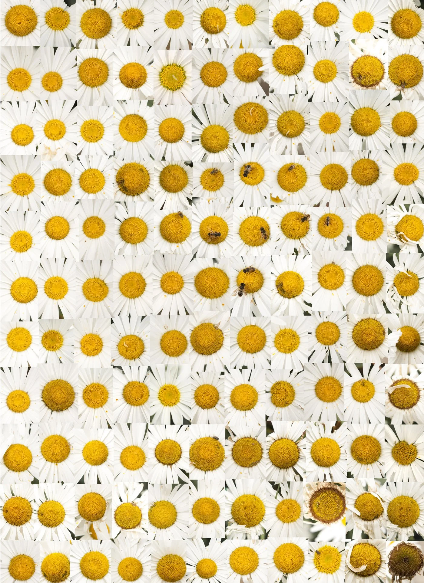 Seemingly arbitrary.jpg