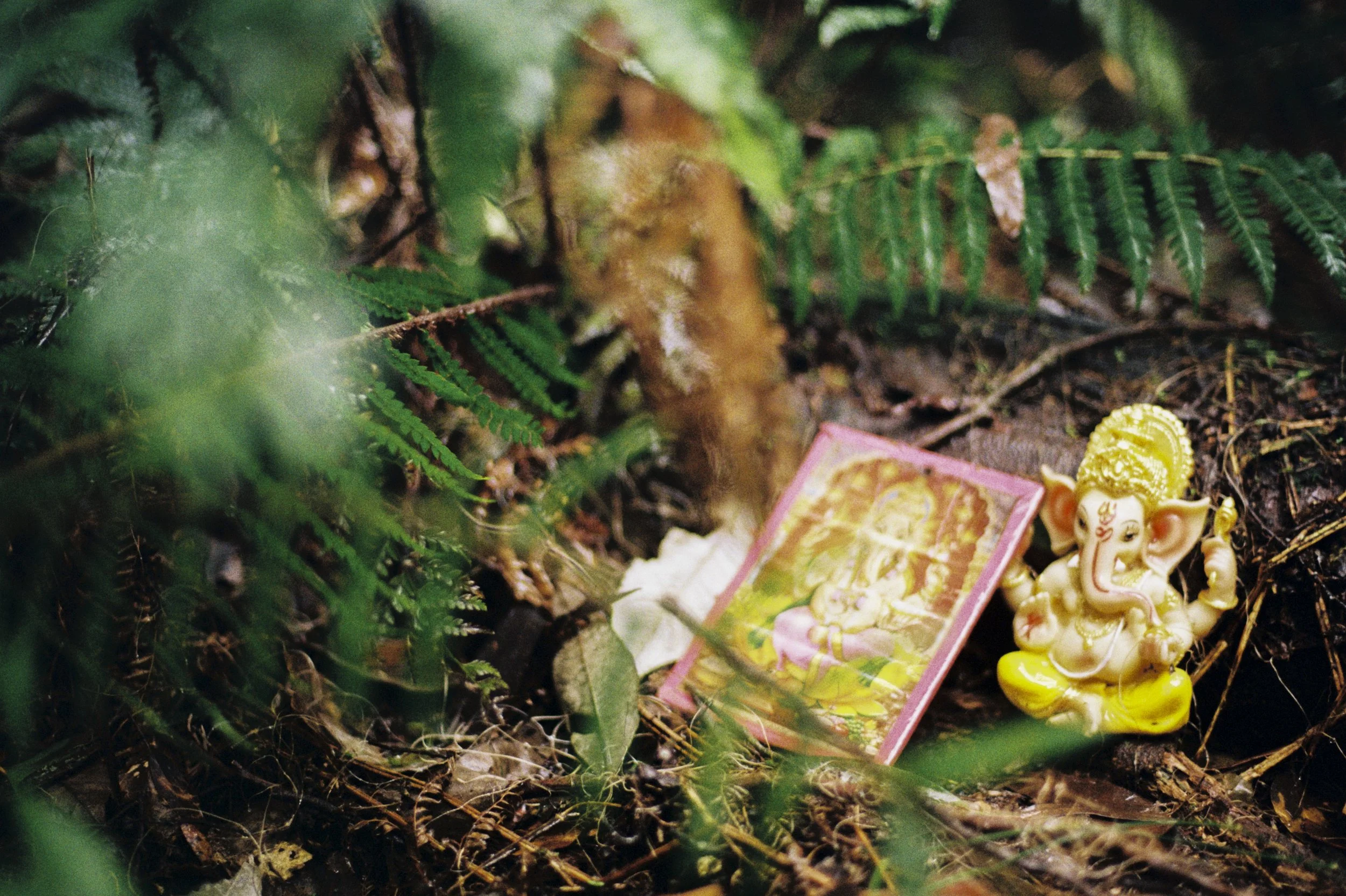 Ganesh by photographer Christian Pearson in the Macedon Ranges