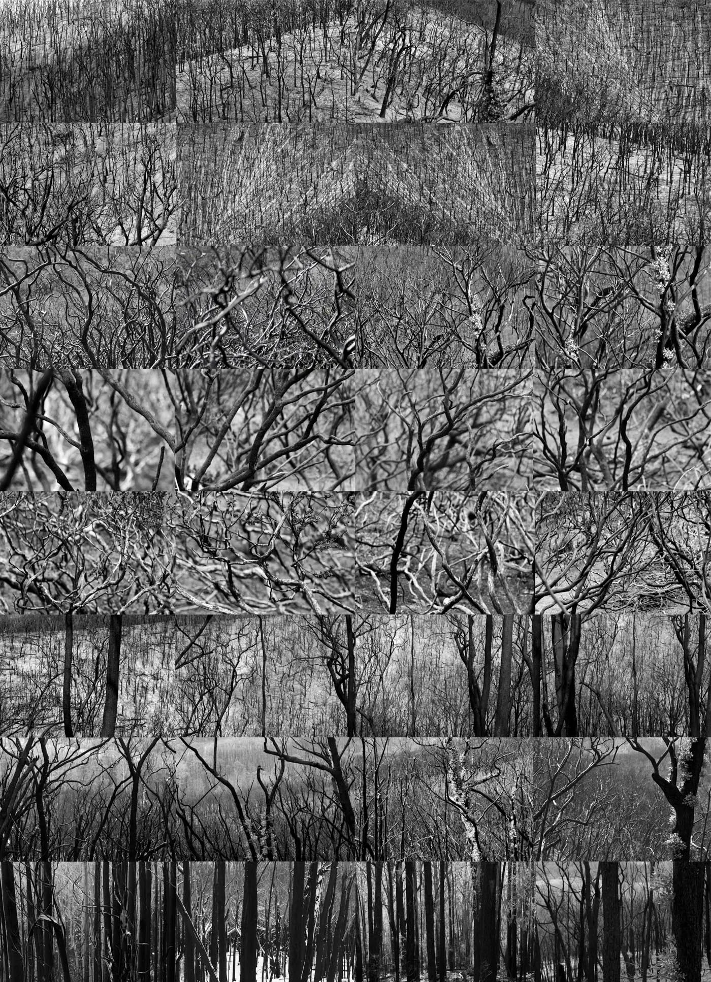 Take a deep breath.jpg