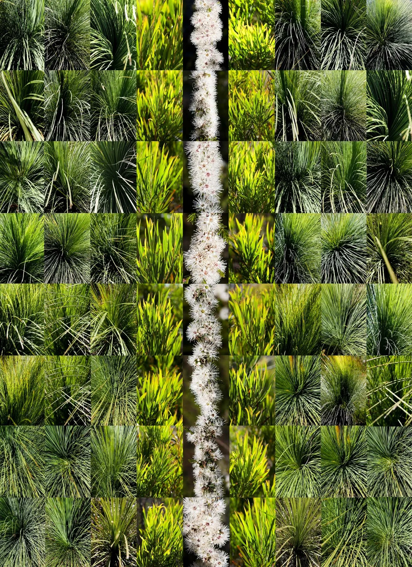 The world spins and I hitch a ride.jpg