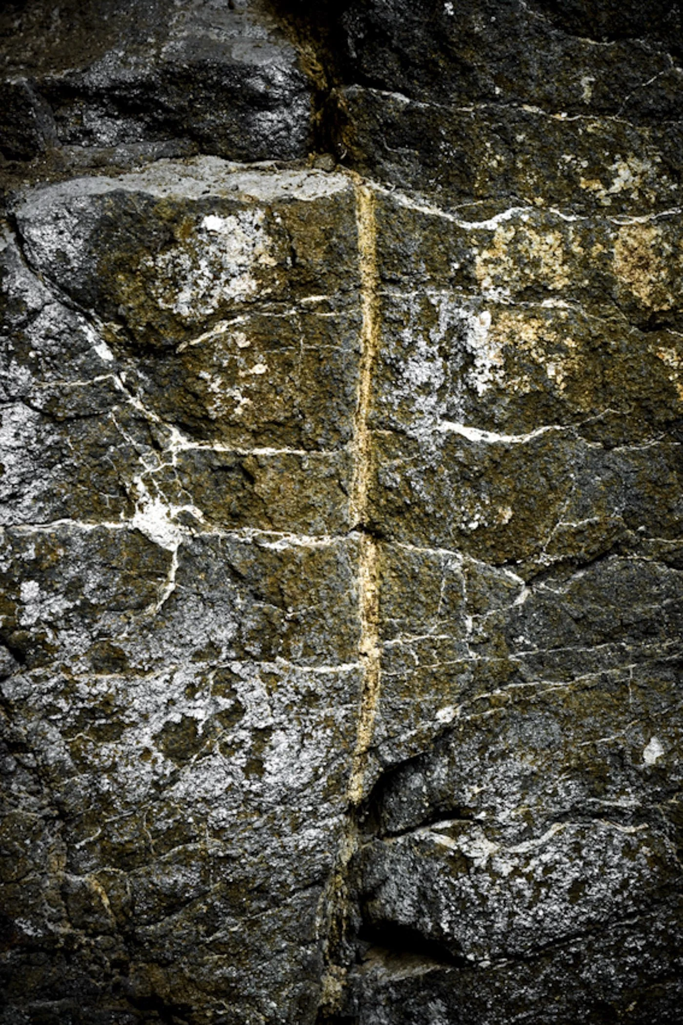 Close-up of a dark, rough, rocky surface with patches of white and gold mineral deposits.