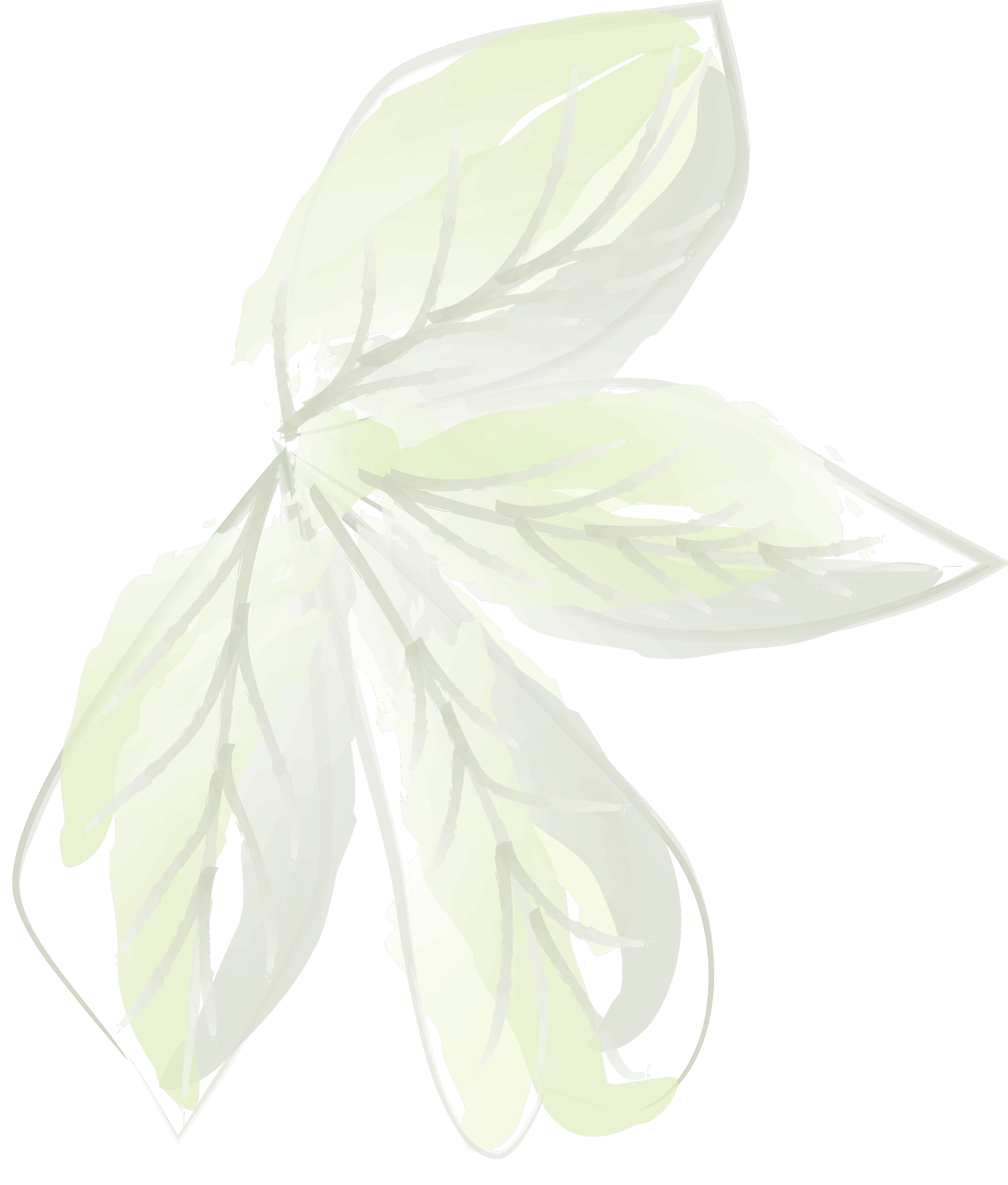 A stylized drawing of leaves on a transparent background.
