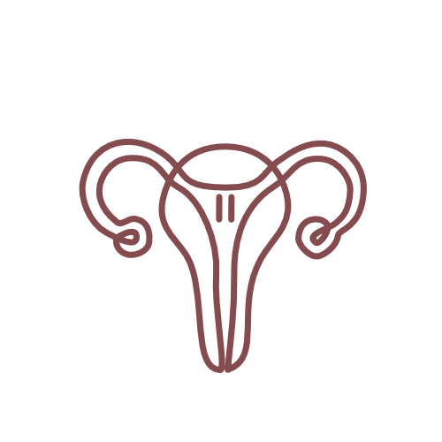 Illustration of a uterus with fallopian tubes, uterus shape outlined in brown on a transparent background.