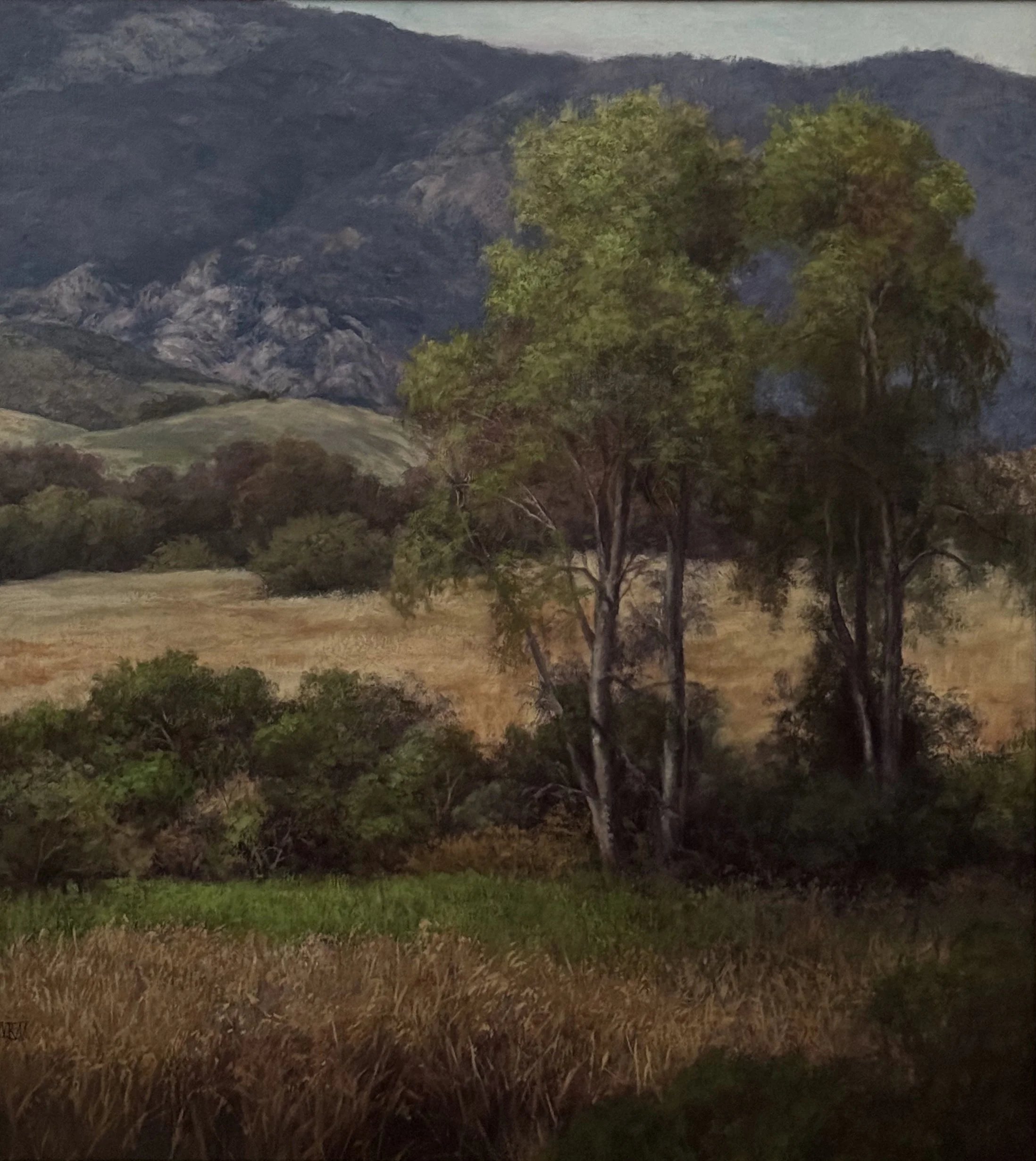 Mary Kay West, Triple Washed and Ready to Eat, Oil on Panel
