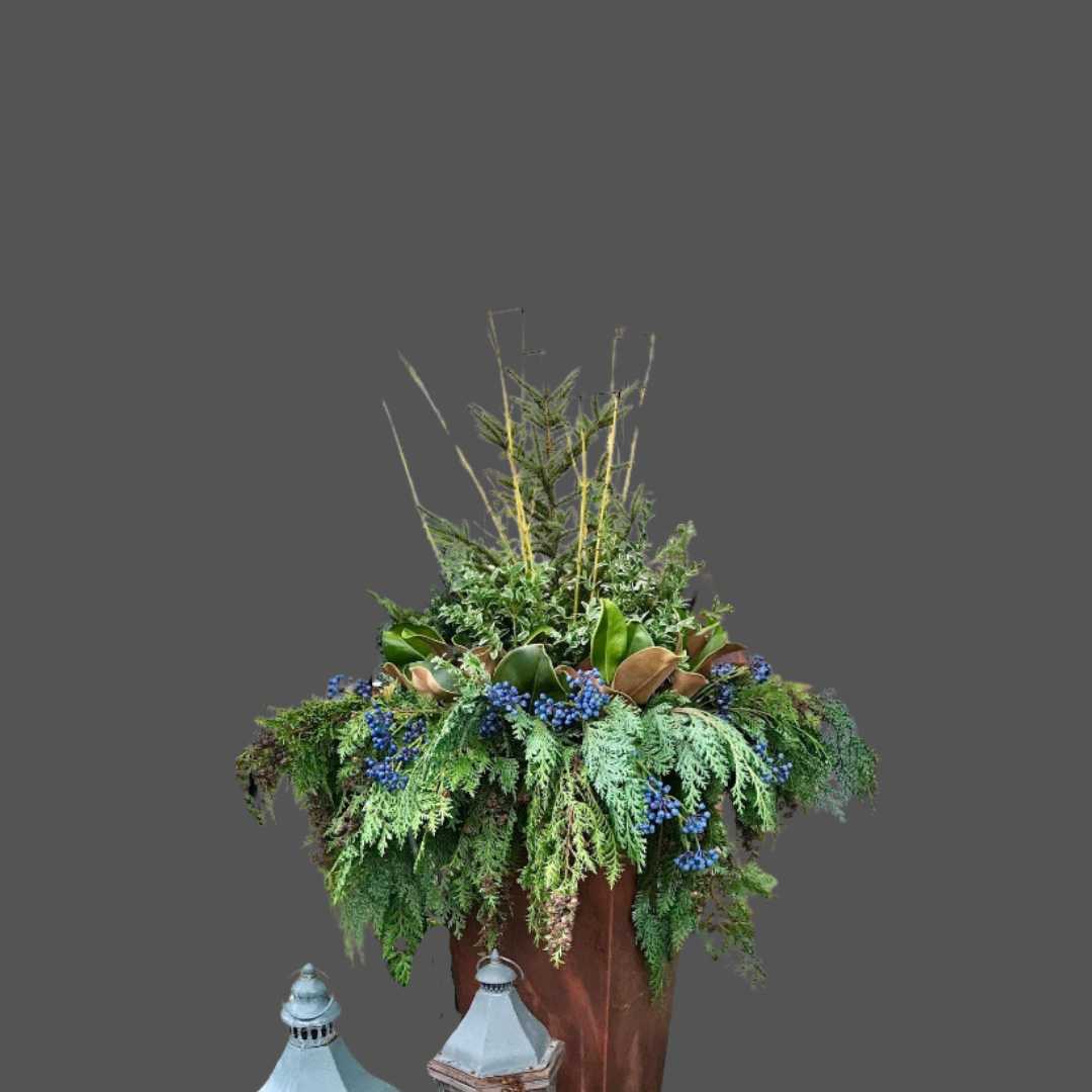 A decorative arrangement of various green plants and blue berries in a brown pot, set against a gray background.