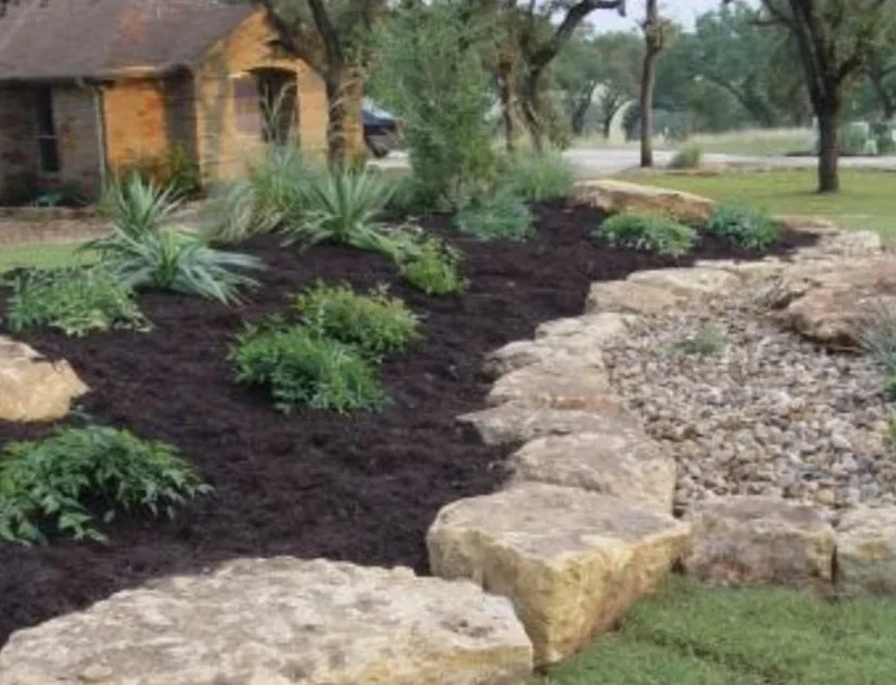 A landscaped yard with large rocks, freshly turned dark soil, and various green plants, including succulents, near a house with trees and a road in the background.