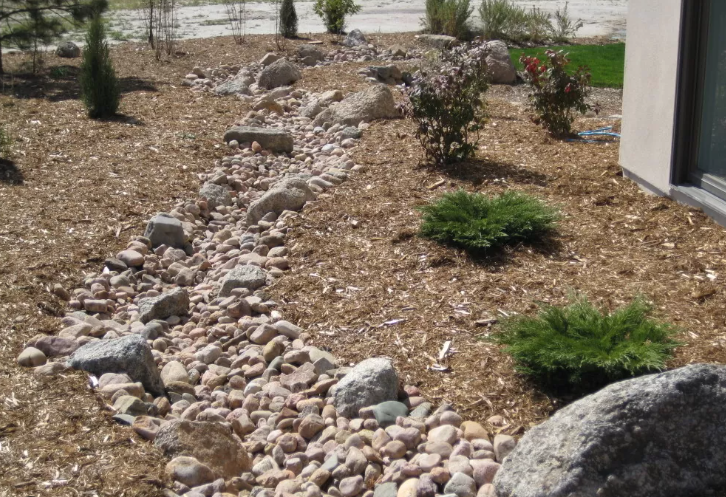 dry creekbed 2.png