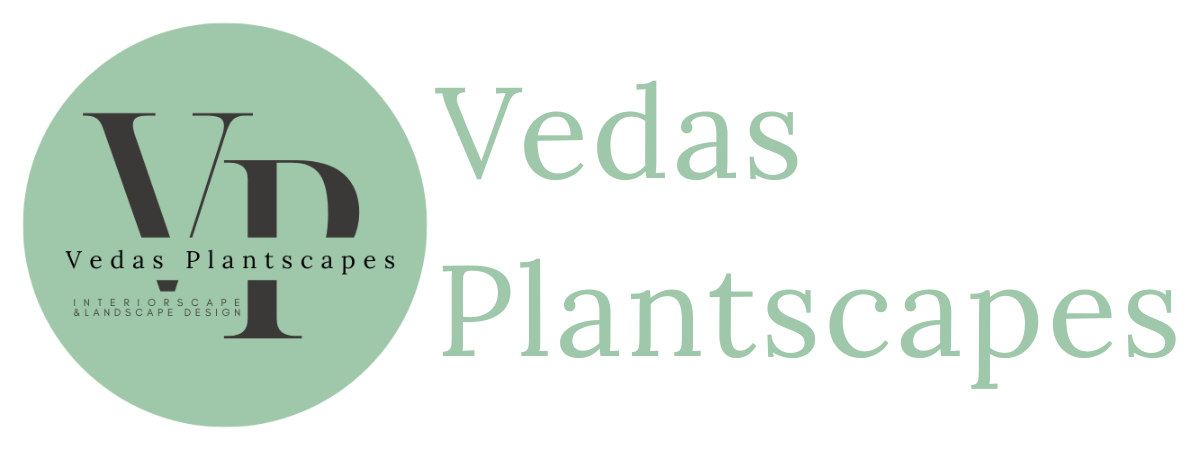 Vedas Plantscapes       ~        Plants + Style + Life