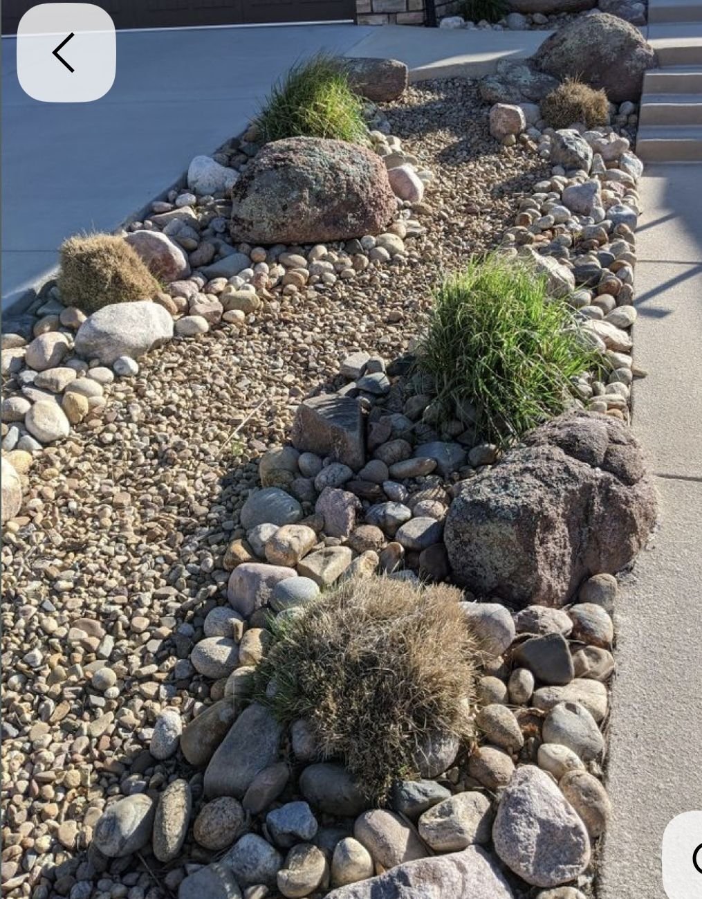 Decorative rock garden with various sized stones and drought-resistant plants along a sidewalk.