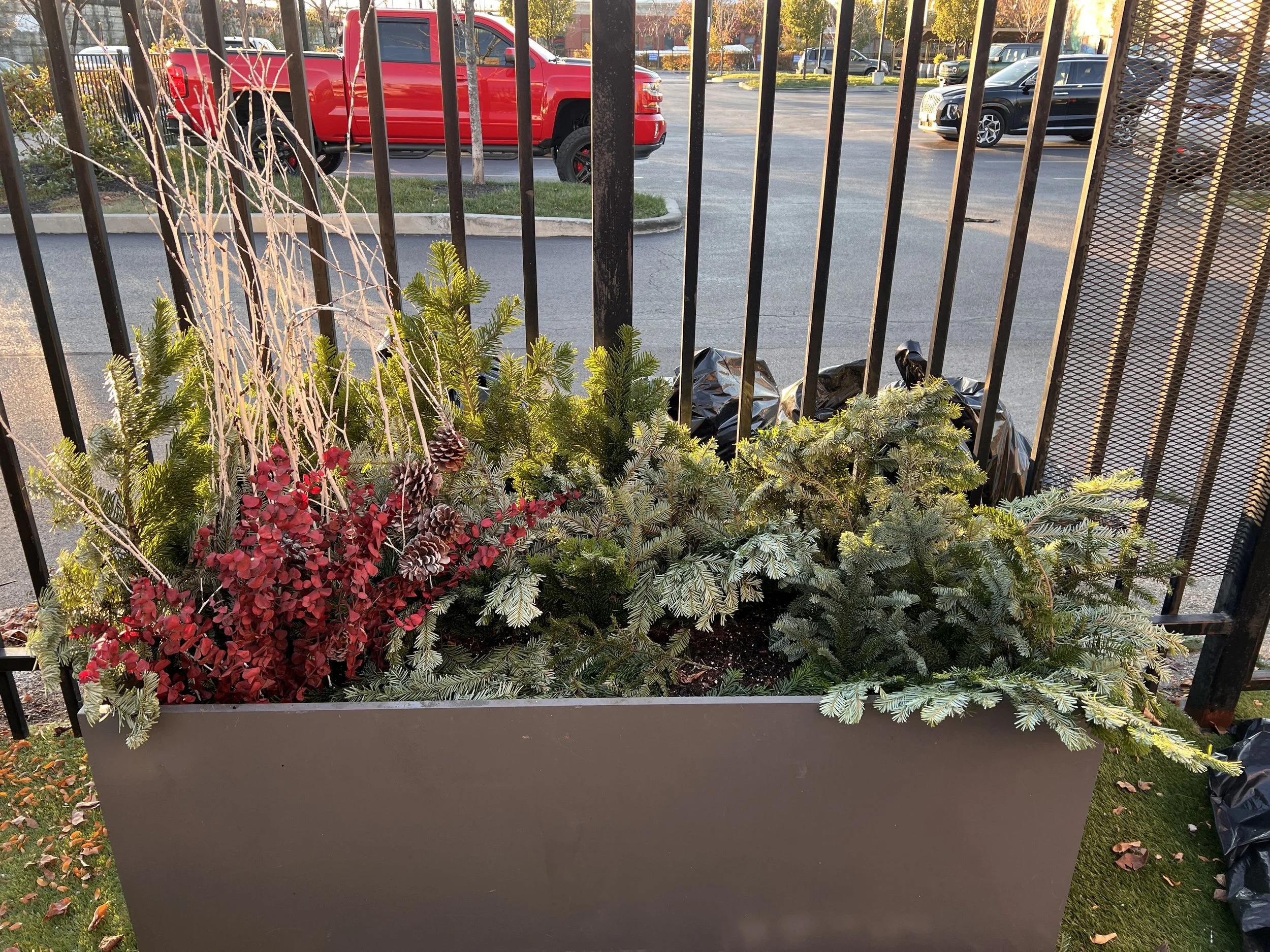 A large rectangular planter box with various green and red plants, including evergreen branches and red foliage, placed in front of black metal fence. In the background, a parking lot with cars and a red pickup truck is visible.