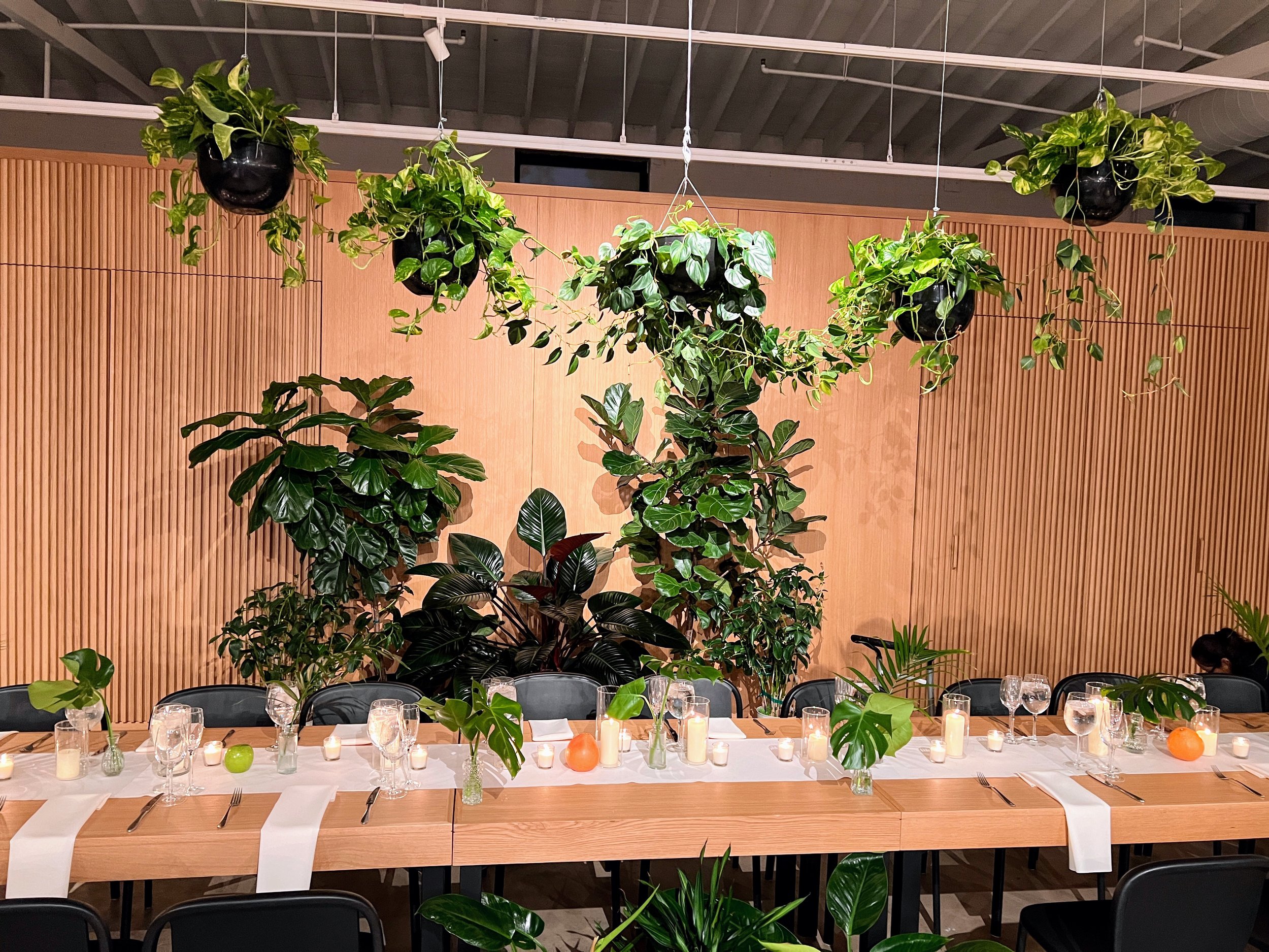 Decorated dining table with candles, vases with green leaves, and orange and green balloons, set against a backdrop of large indoor plants and a wooden wall.
