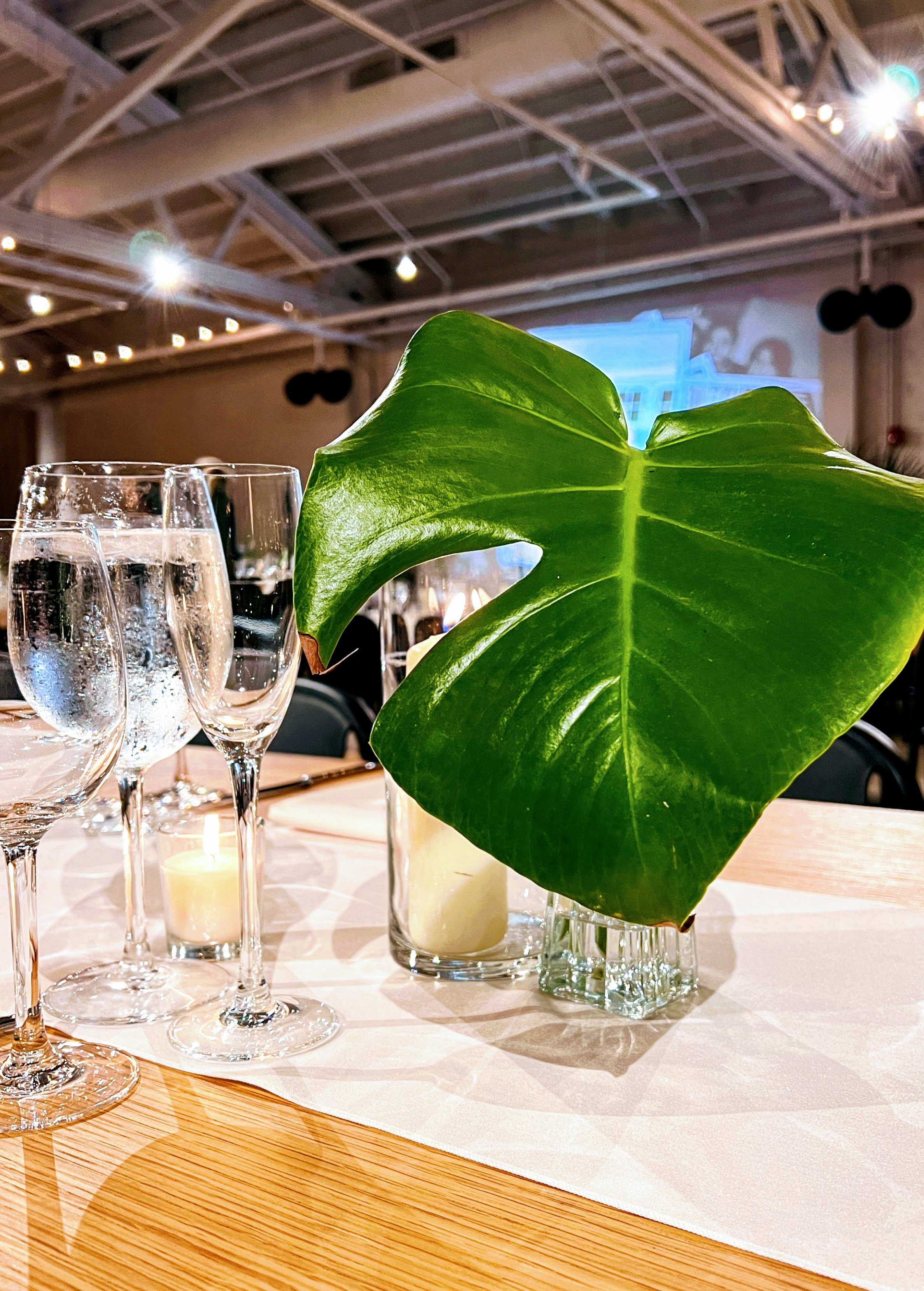 A table setting with several glasses of sparkling water, candles, and a large green leaf in a vase in a venue with a high ceiling and string lights.