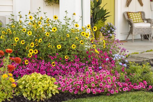 Colorful flower garden with yellow, pink, and purple blossoms in front of a porch with a wicker bench and potted plants.