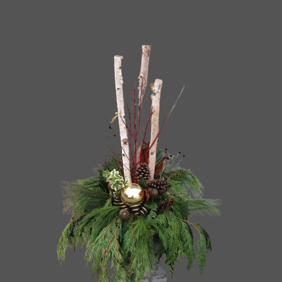 Christmas floral arrangement with green foliage, pinecones, gold ornament, and white birch branches on a gray background.