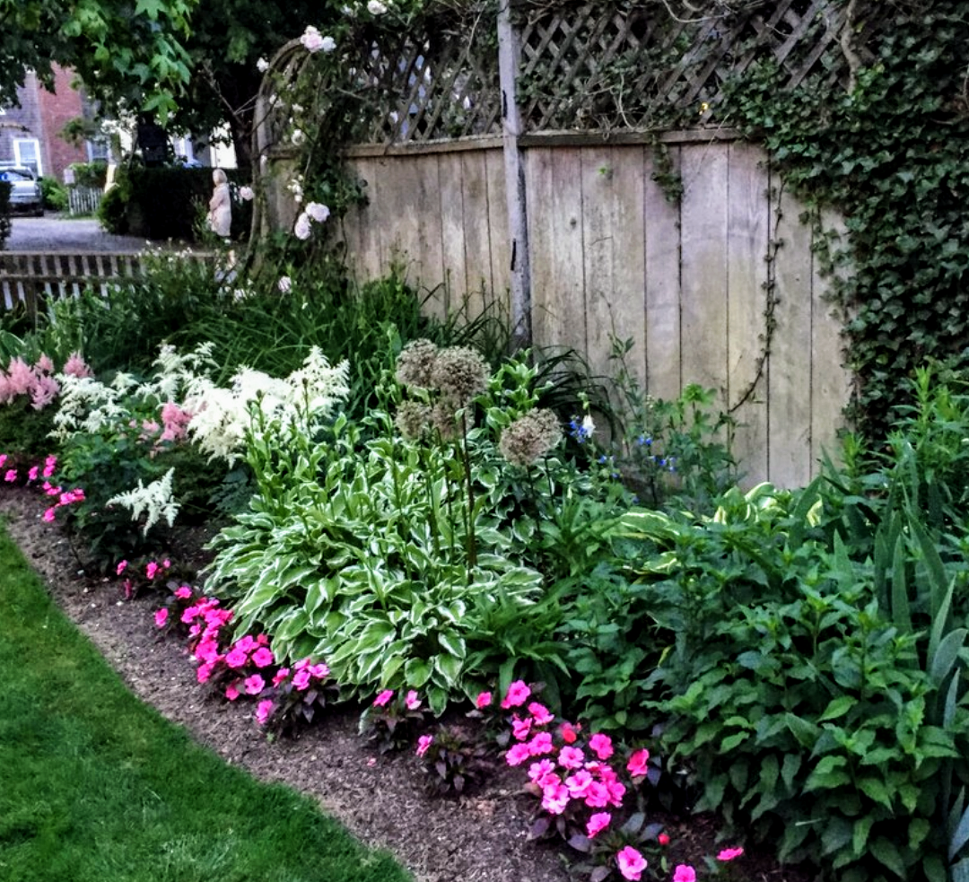 A garden with various flowering plants along a dirt border, including pink, white, and purple flowers, with a wooden fence and greenery in the background.
