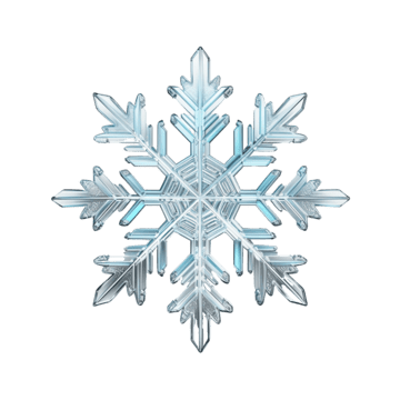 WINTER SEASON PASS - UNLIMITED SNOW REMOVAL