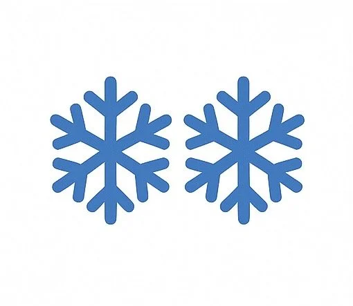 Unlimited Snow Removal Service - 2 Car Driveway, Sidewalk & Steps