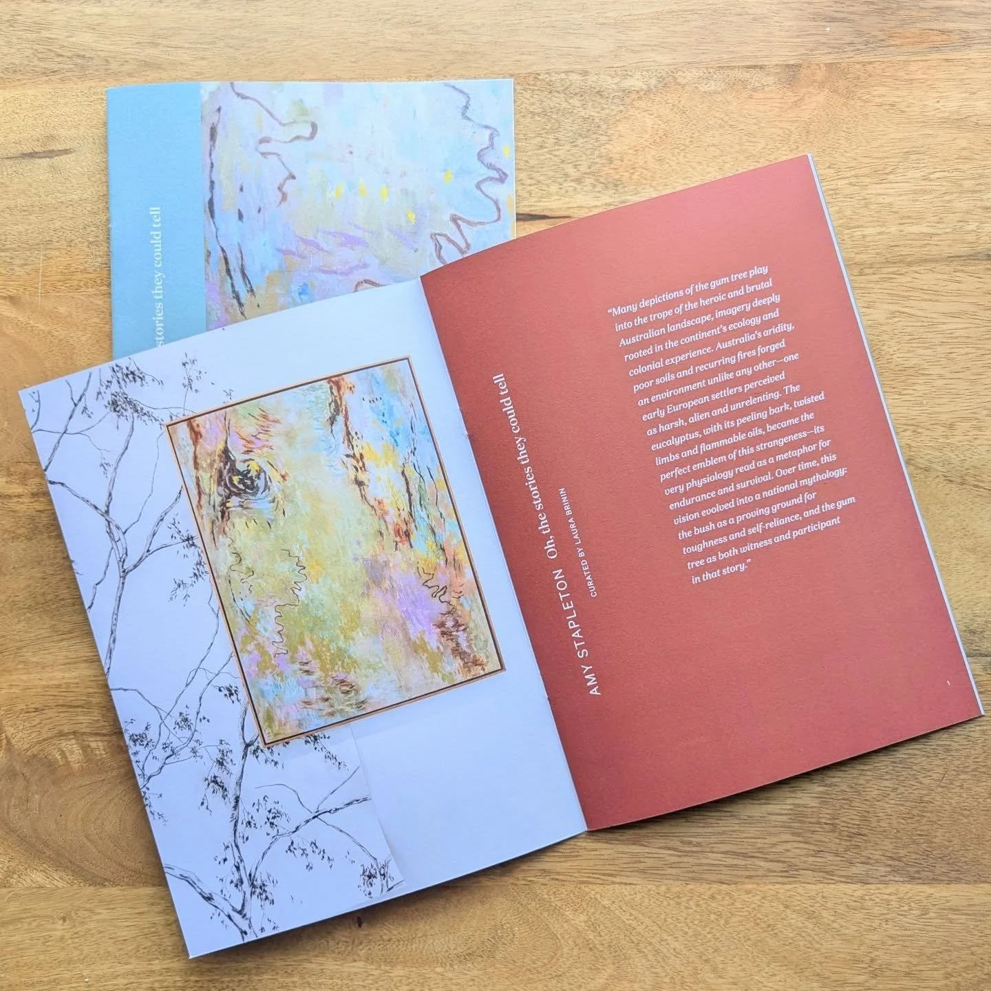 The very clever @leesahickey Director of @thesidegallery has designed the most beautiful exhibition program.
They are the very pretty icing to finish off the cake.

Amy Stapleton - 
Oh, the stories they could tell
Oct 23 - Nov 1, 2025

@thesidegaller