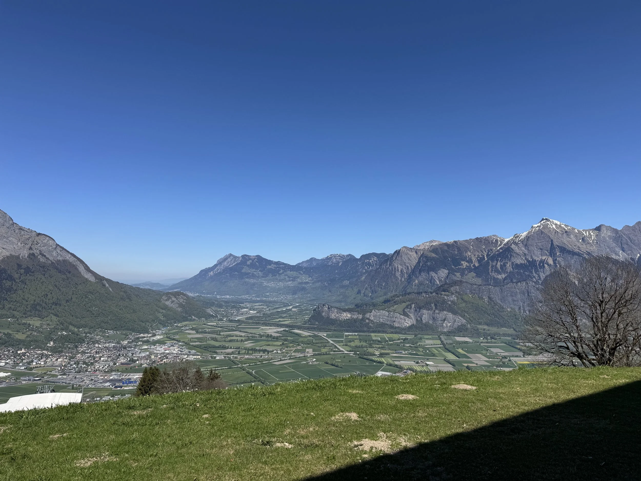 IMG_8713.jpeg