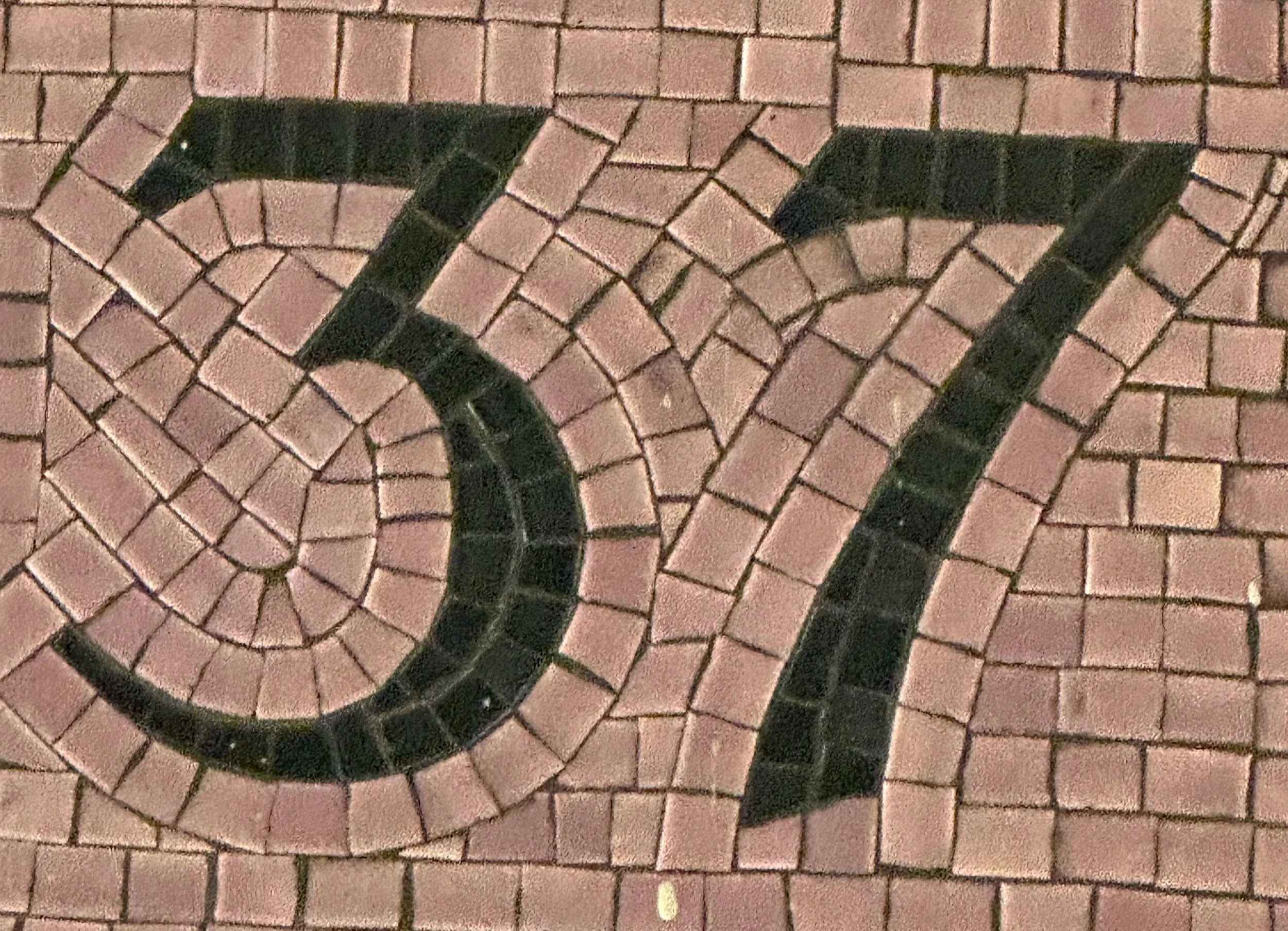 Transit Techies #37: Chris Whong (NYC Subwaysheds)