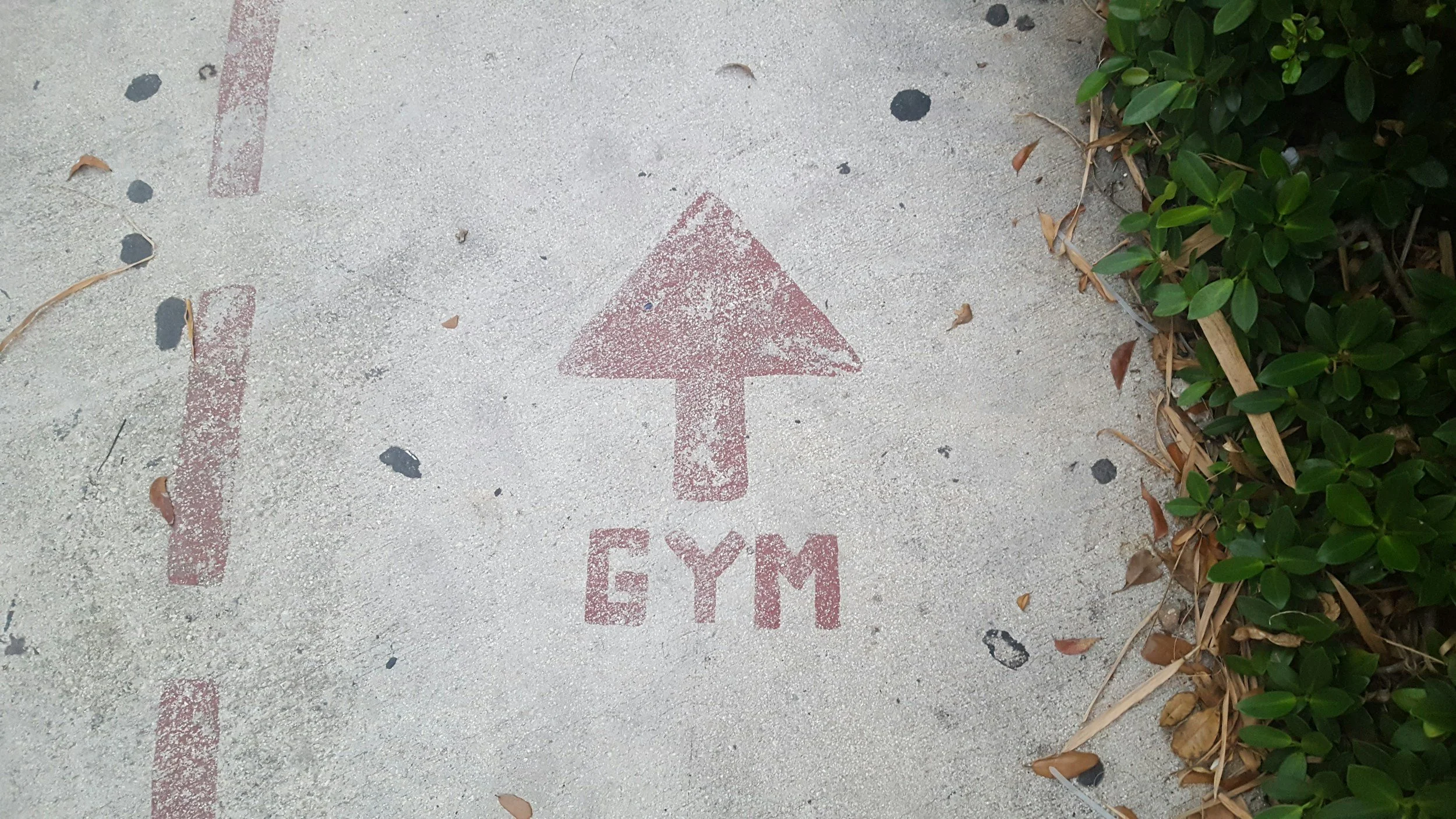 Red arrow pointing upward with the letters 'GYM' underneath, painted on a concrete sidewalk next to green bushes.
