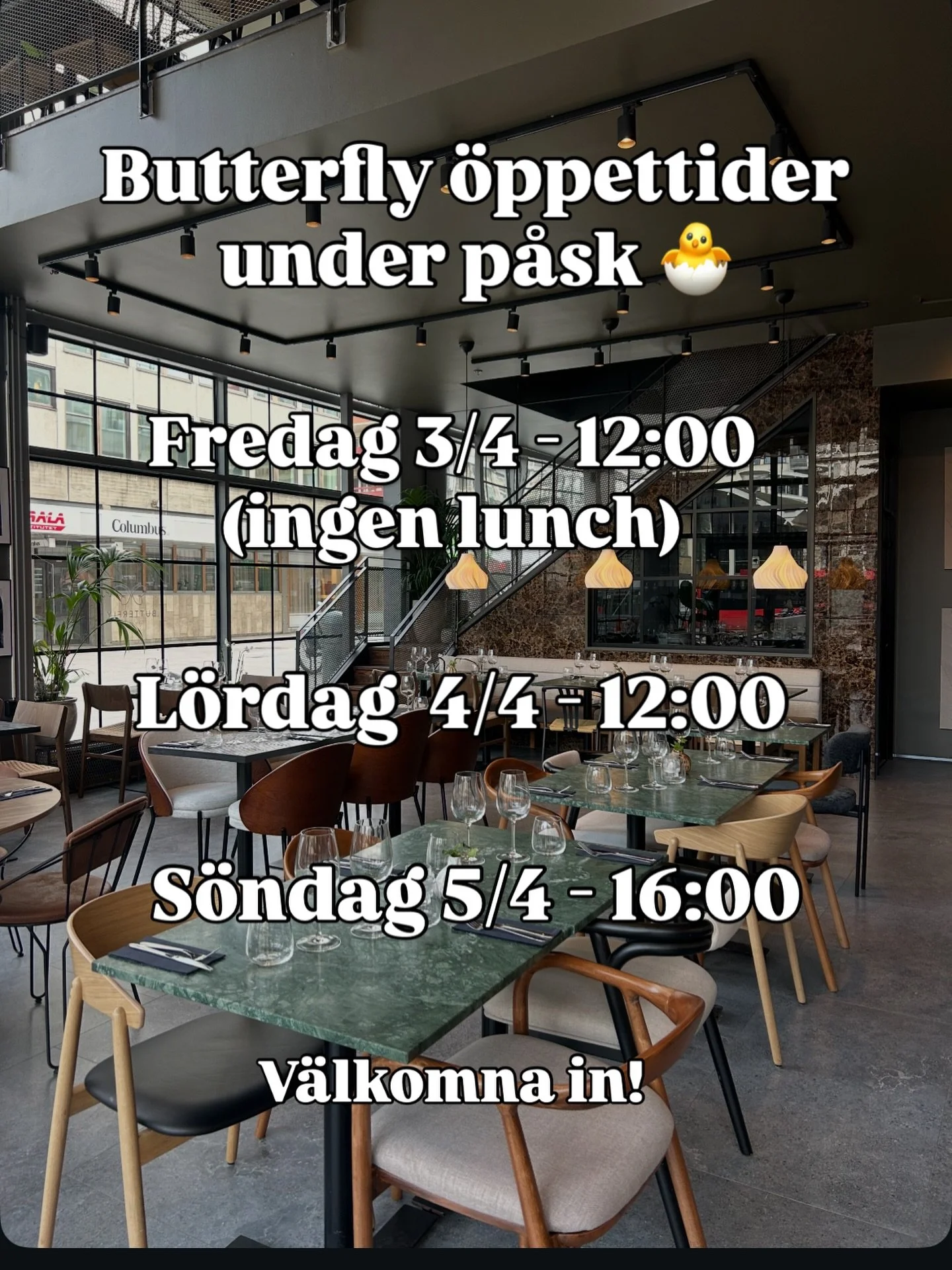 S&aring;h&auml;r &ouml;ppnar Butterfly under p&aring;sk🐣