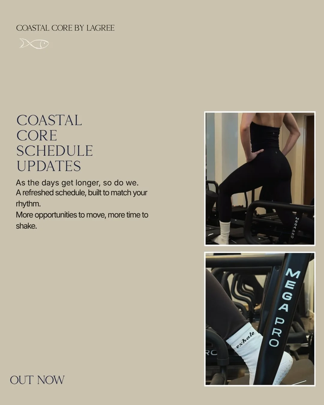 A refreshed Coastal Core schedule is here, with more moments to shake, slow down, and settle into the burn.
Thoughtfully refined to reflect when you love to move most.

Book your spot.