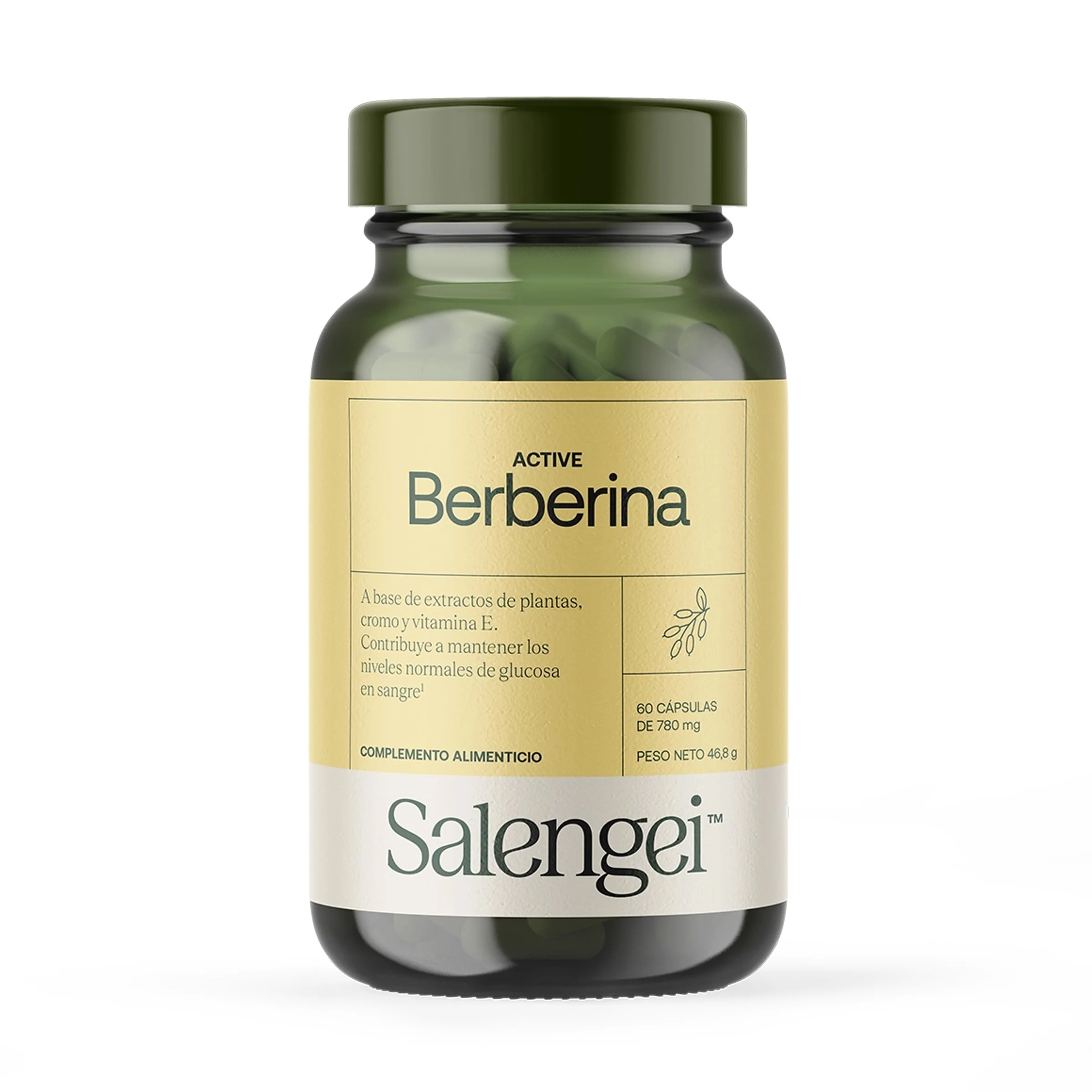 ActiveBerberina_01.jpg