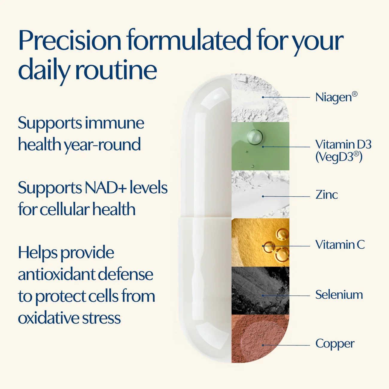 pdp_Immune_60ct_reformulation_daily_660x660_e130945a-cfbc-4941-a11f-493e7d3ced3e.webp