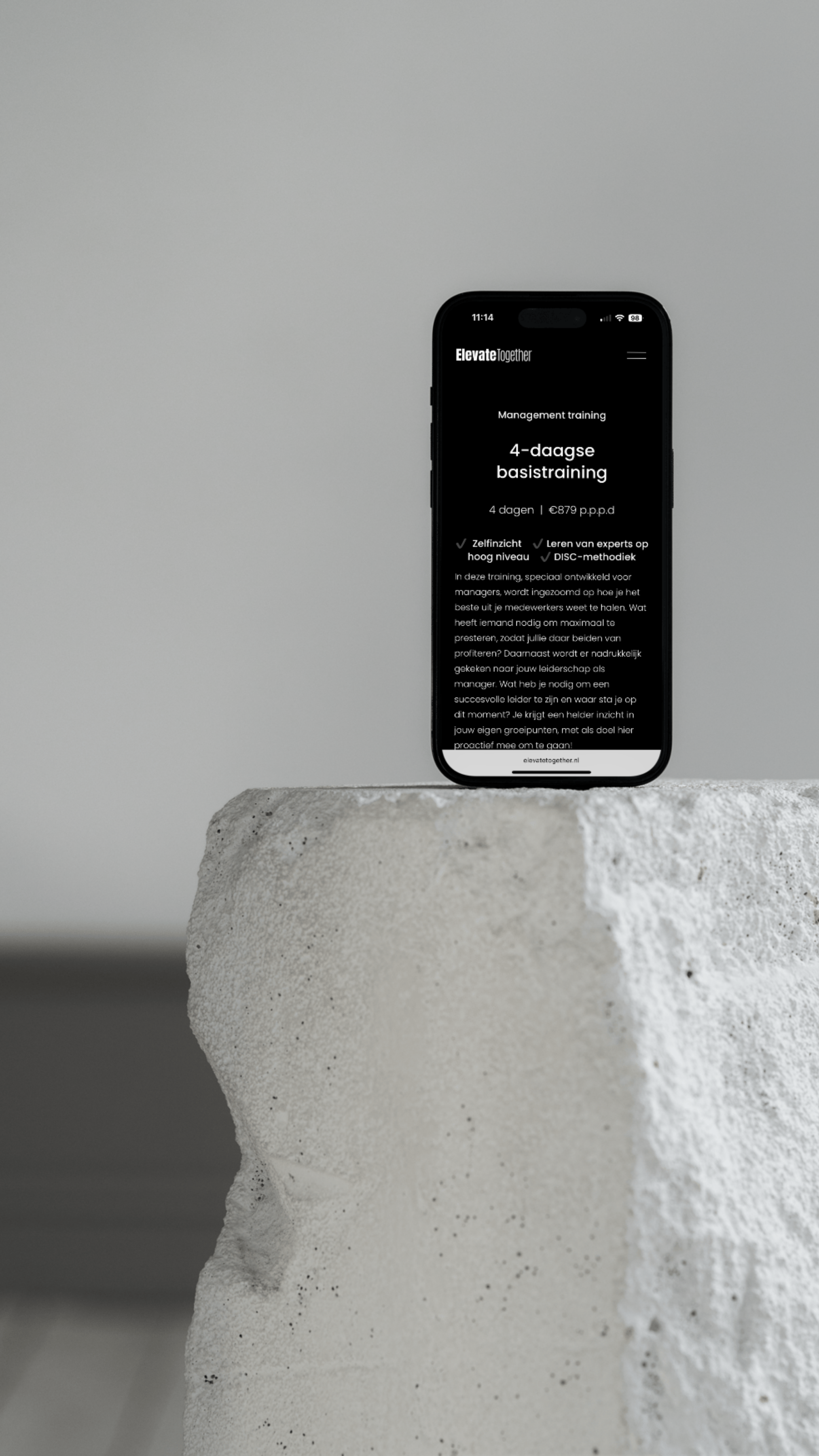 Kela creative mockup Elevate iphone op steen.png