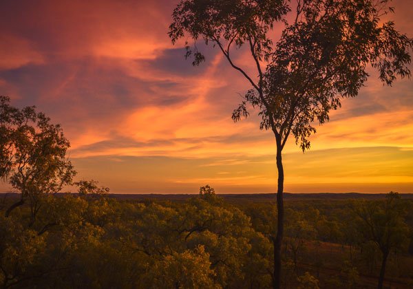 A sunset sky with shades of orange, pink, and purple over a landscape with trees and a horizon.