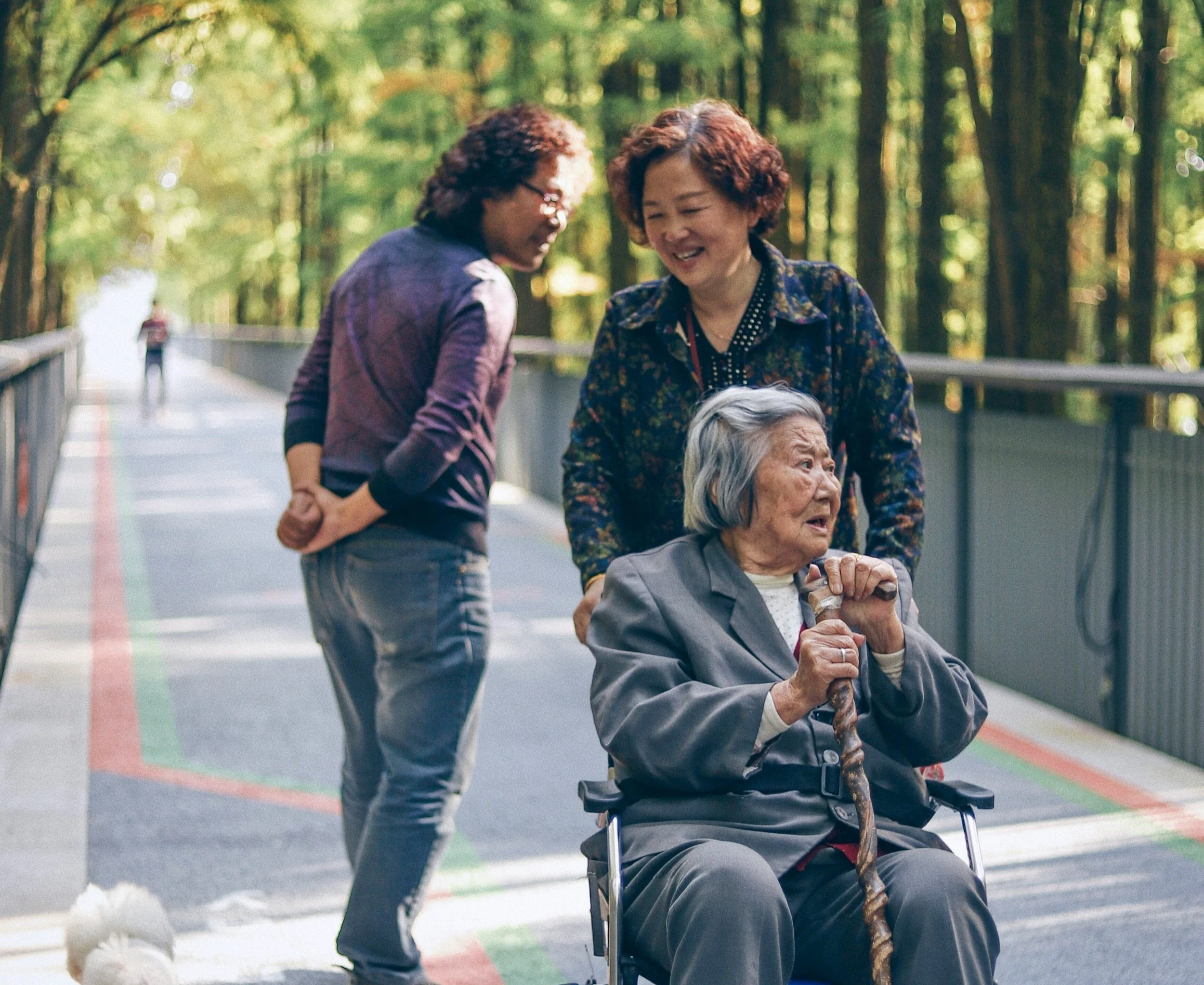 Olympus Migration - Andreas Athanasiou - Australian Visas - Complimentary Consultation