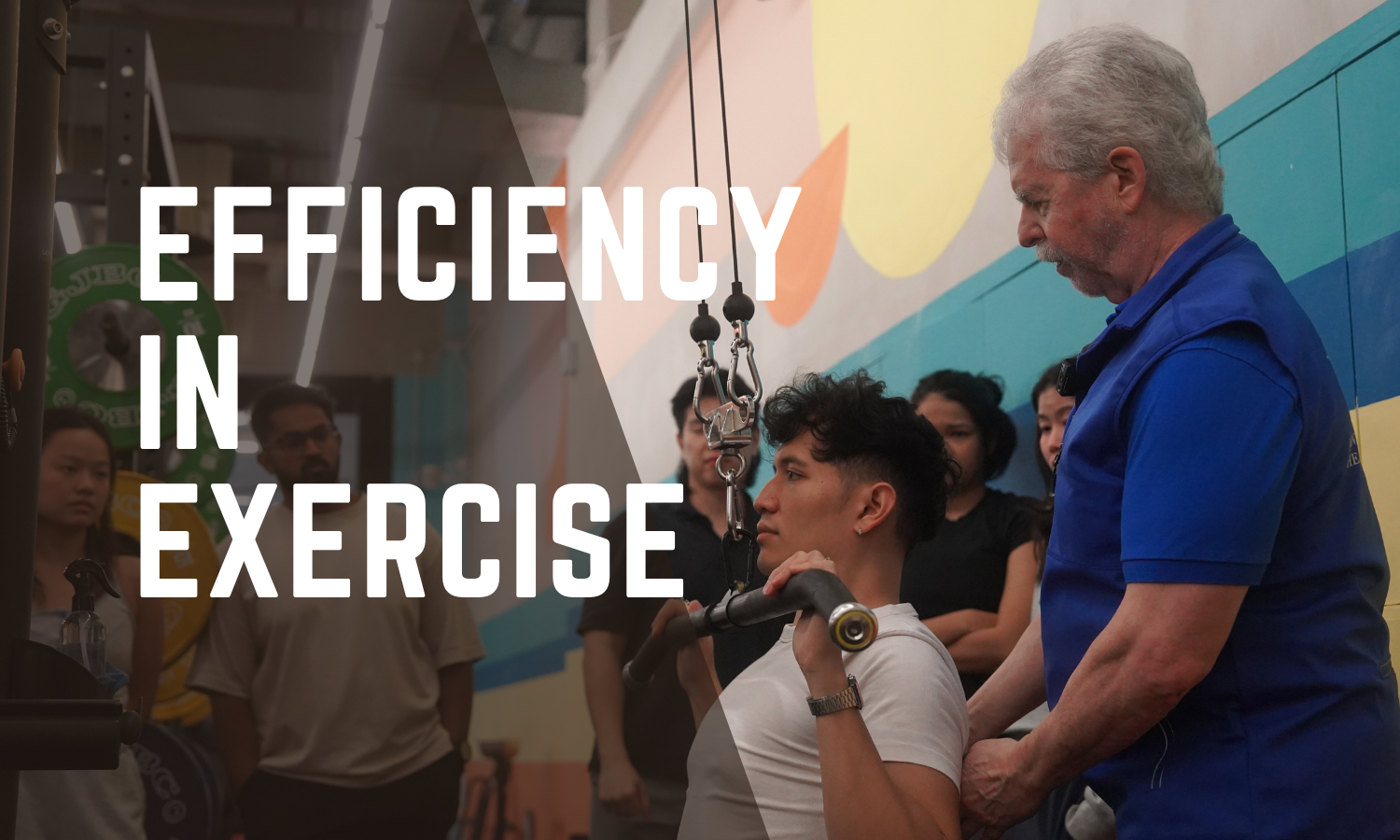 Efficiency in Exercise