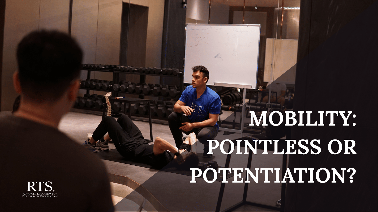 Mobility: Pointless or Productive?