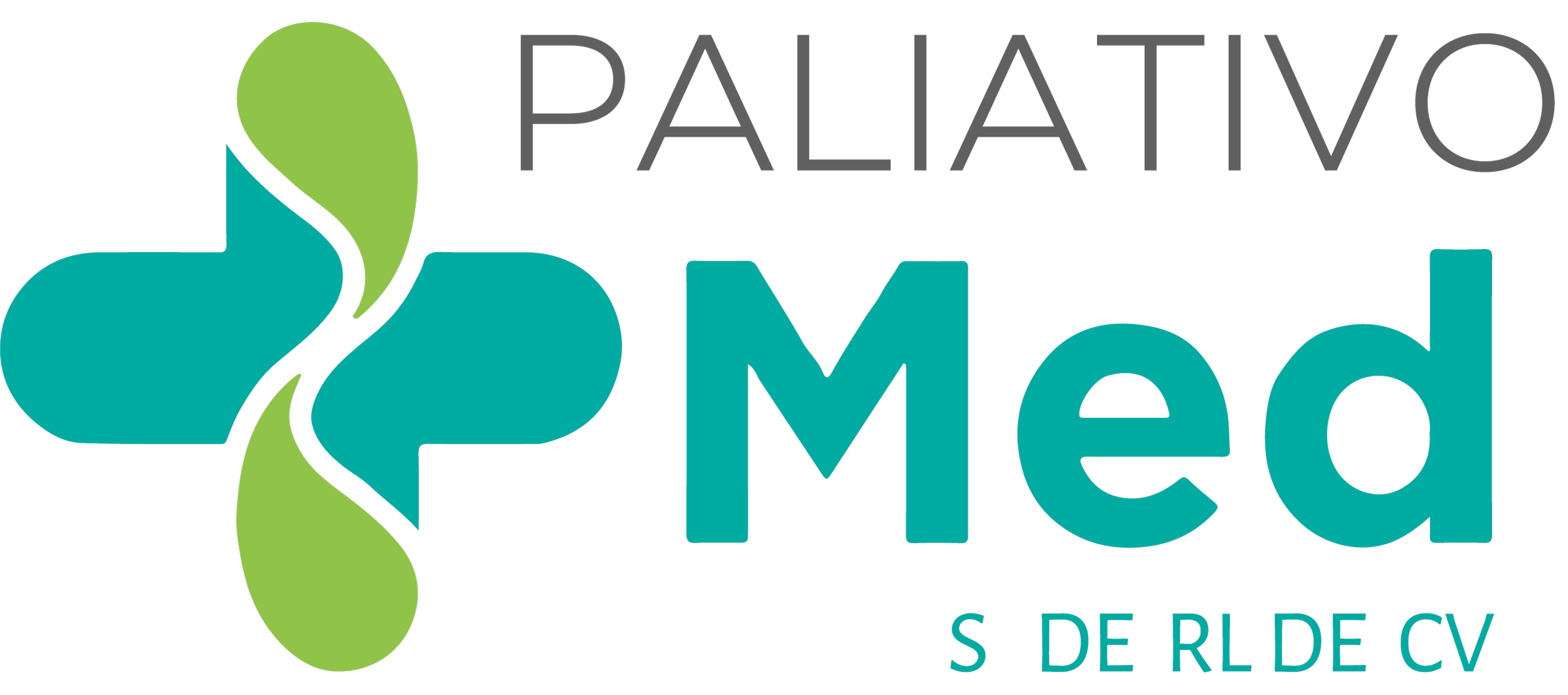 Logo for Palativo Med with a stylized medical cross and leaves, and the words 'Palativo Med' with a slogan below.