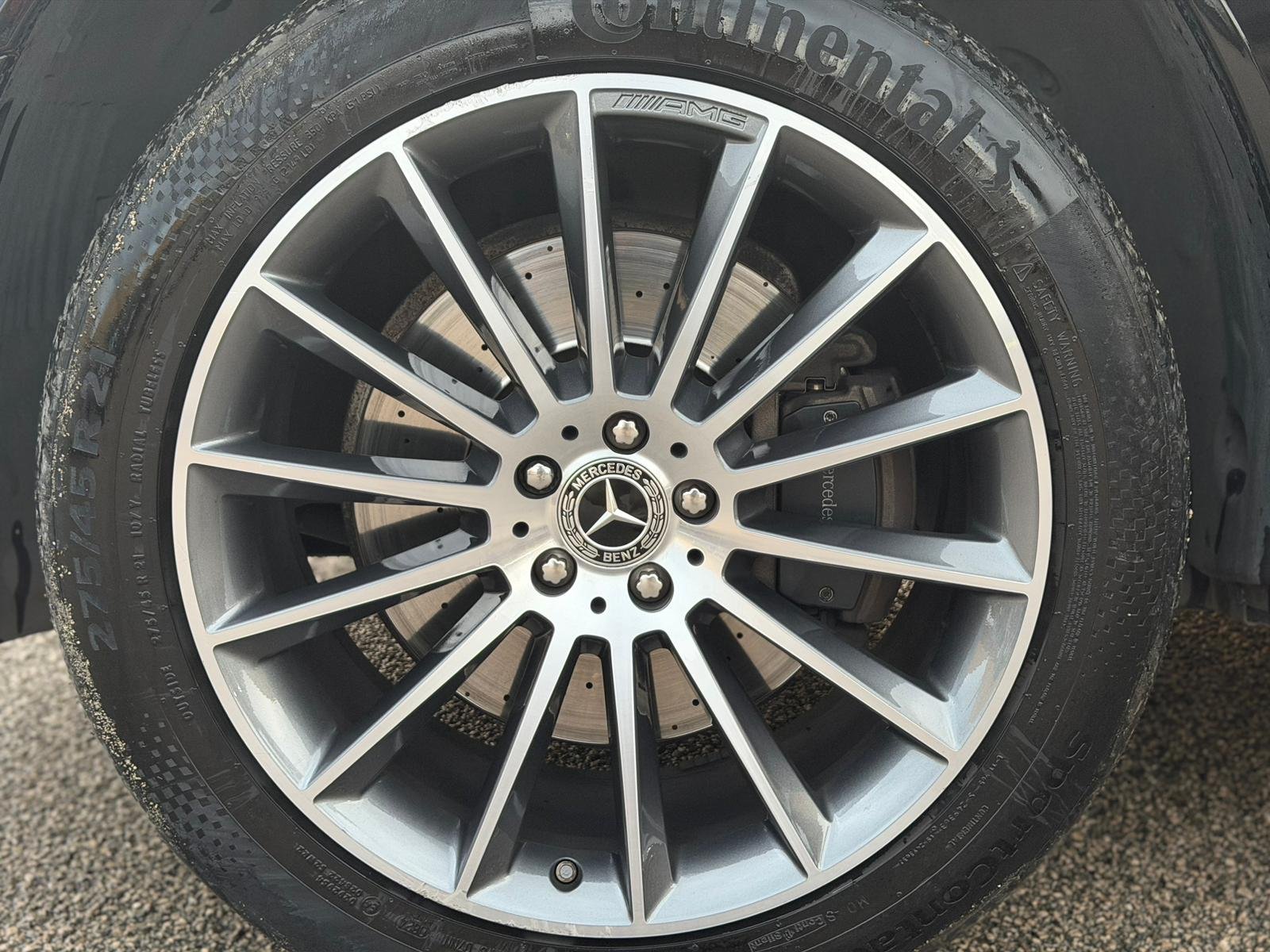 PHOTO-2026-03-25-15-32-01 3.jpg