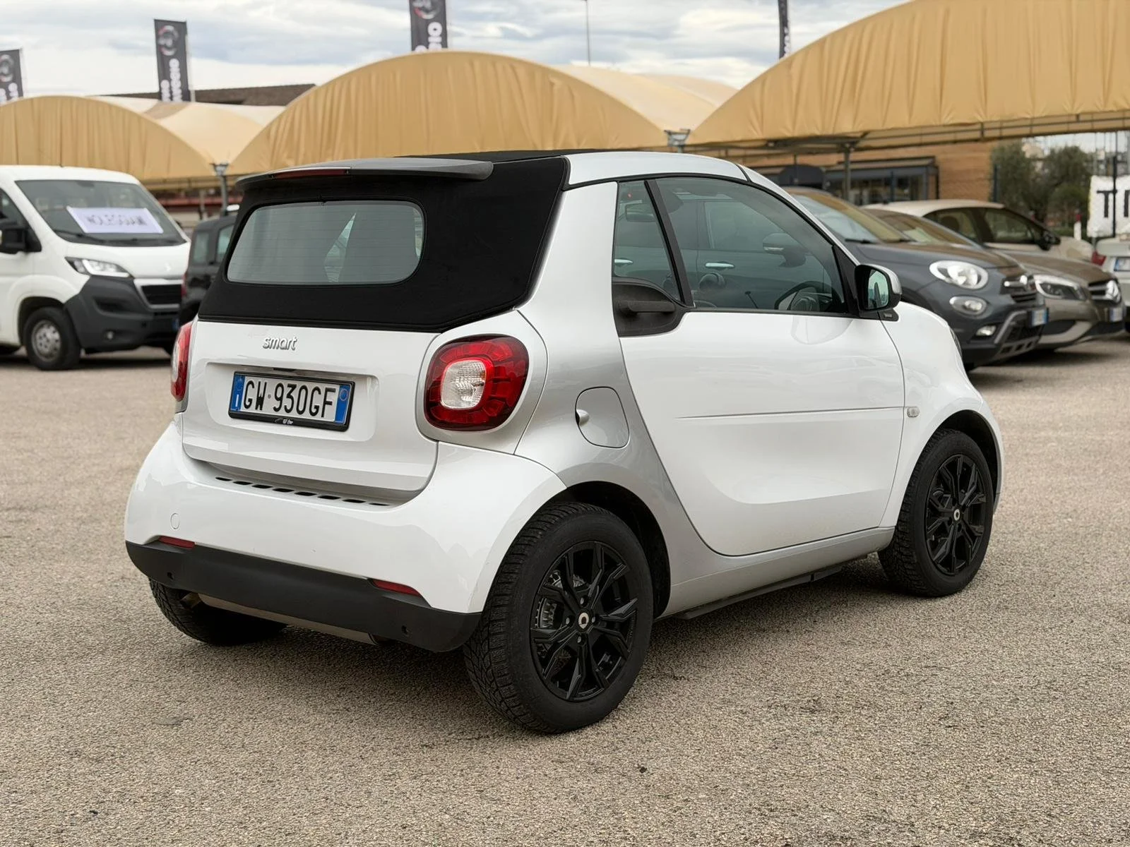 PHOTO-2026-01-23-00-39-35 4.jpg