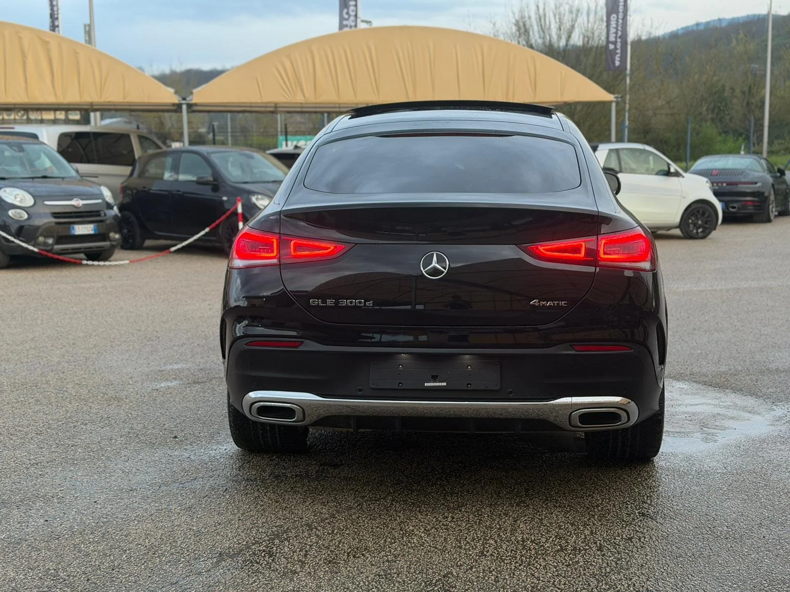 PHOTO-2026-03-25-15-32-00 5.jpg