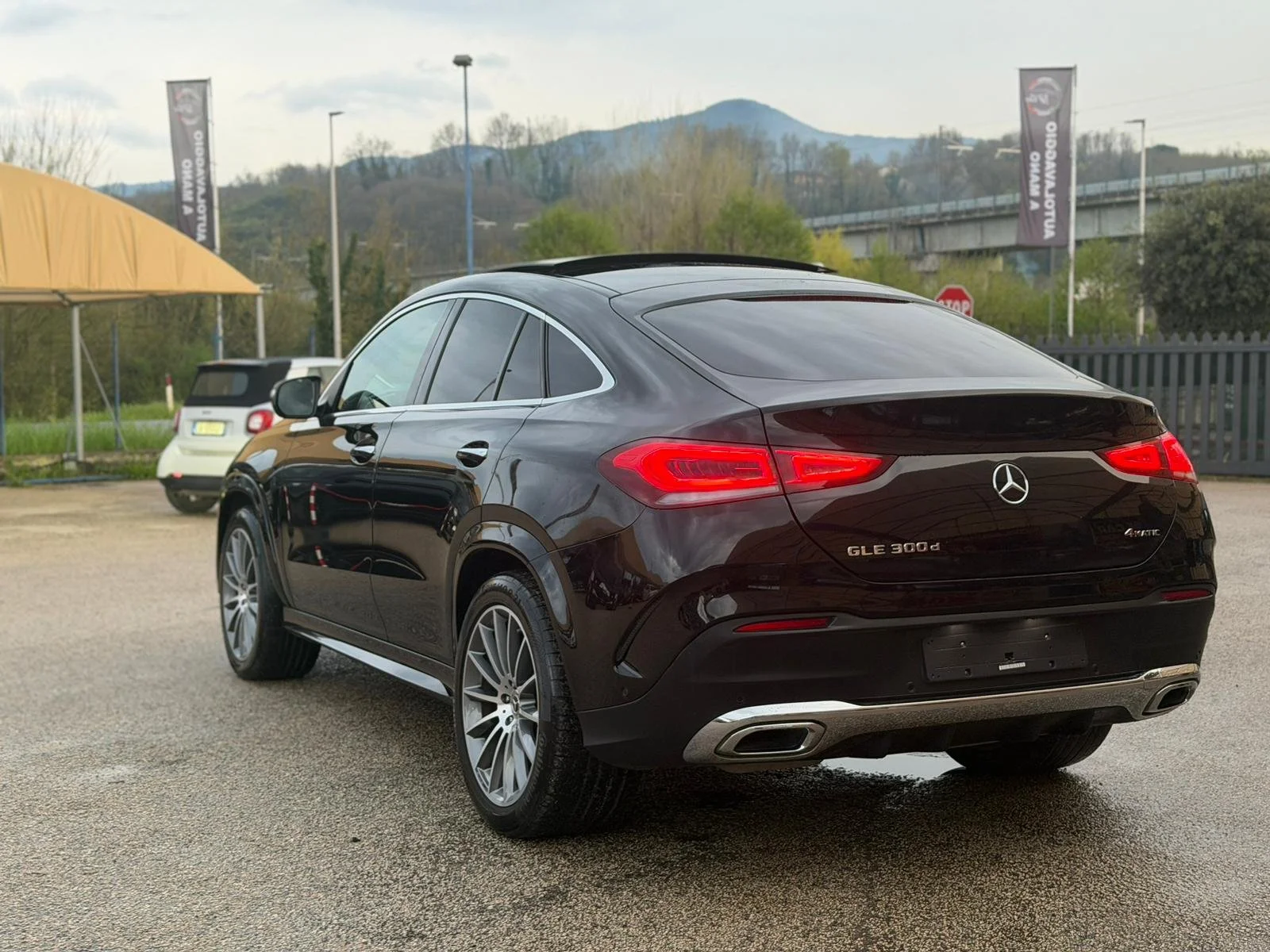 PHOTO-2026-03-25-15-32-01 10.jpg