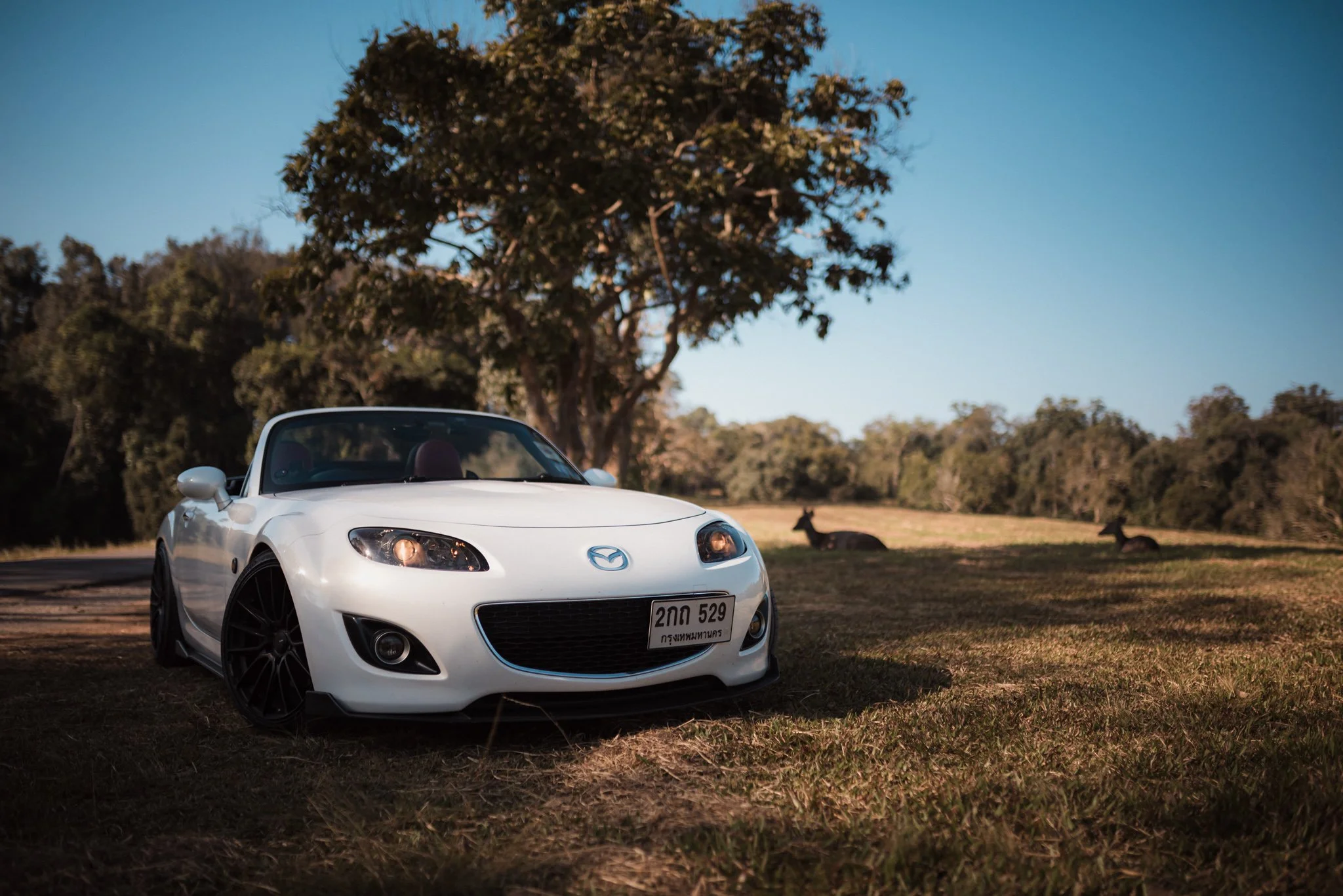 Miata- AJP Automotive-660.jpg