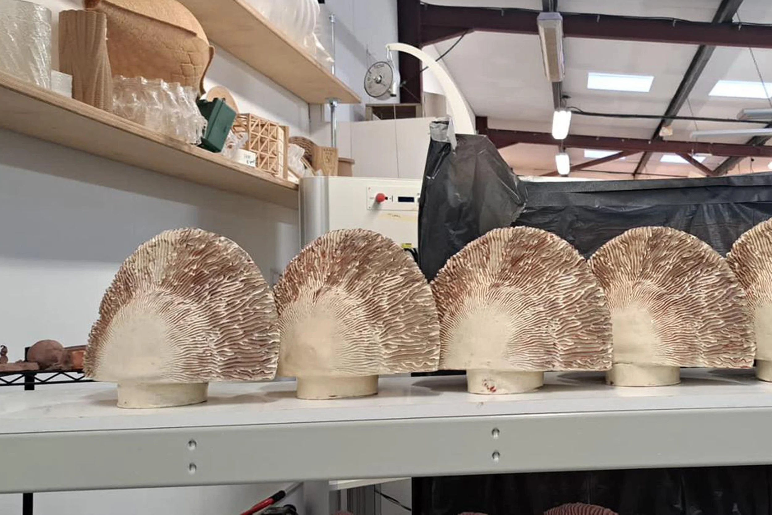 Client: Fab Pub, project development of large scale coral planters, Roe Restaurant feature wall 