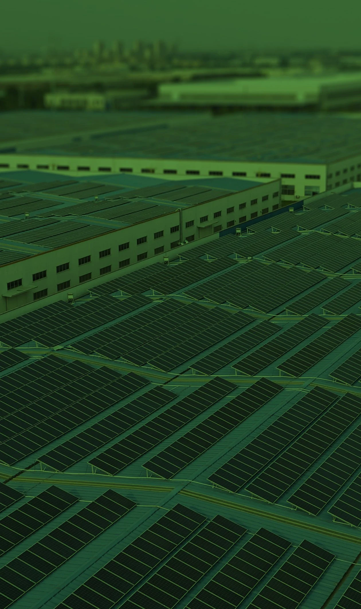 Aerial view of a factory with numerous solar panels installed on the roofs.