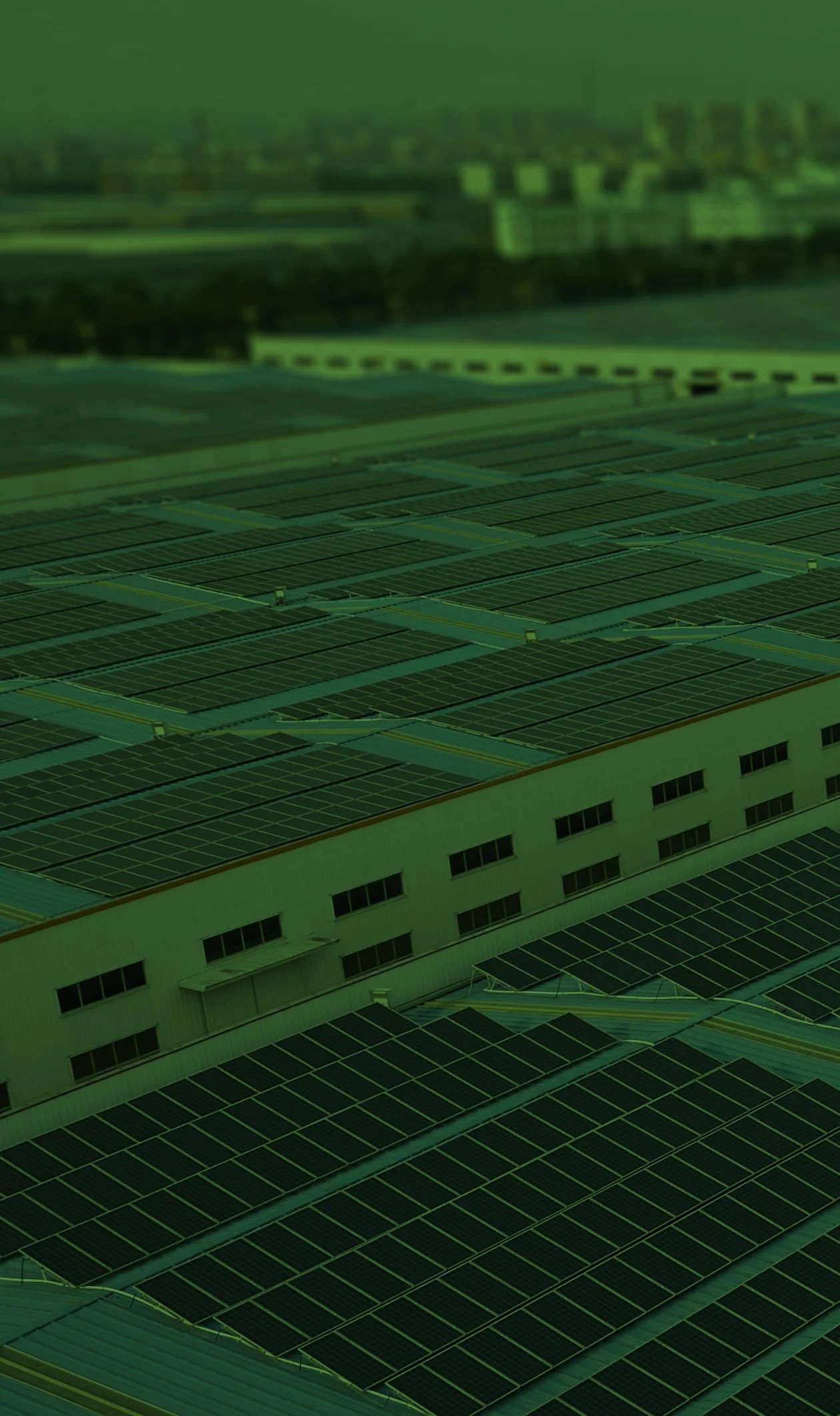 Large industrial rooftop covered with solar panels, with a city skyline in the background.