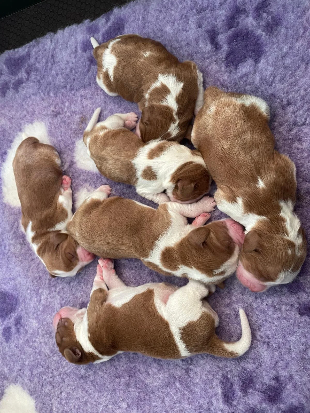 WhatsApp Image 2026-04-27 at 11.31.28.jpeg