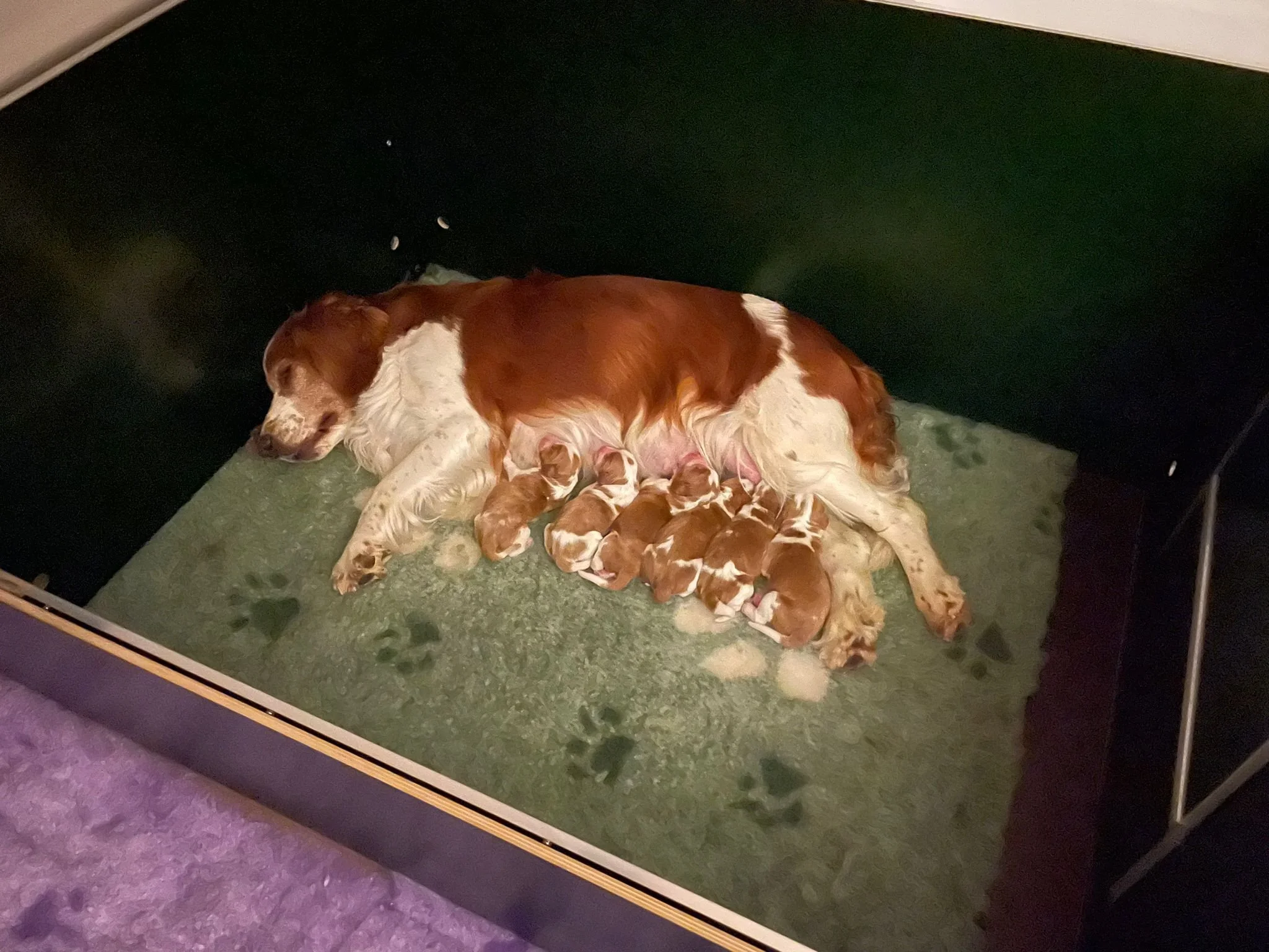 WhatsApp Image 2026-04-27 at 10.39.51.jpeg